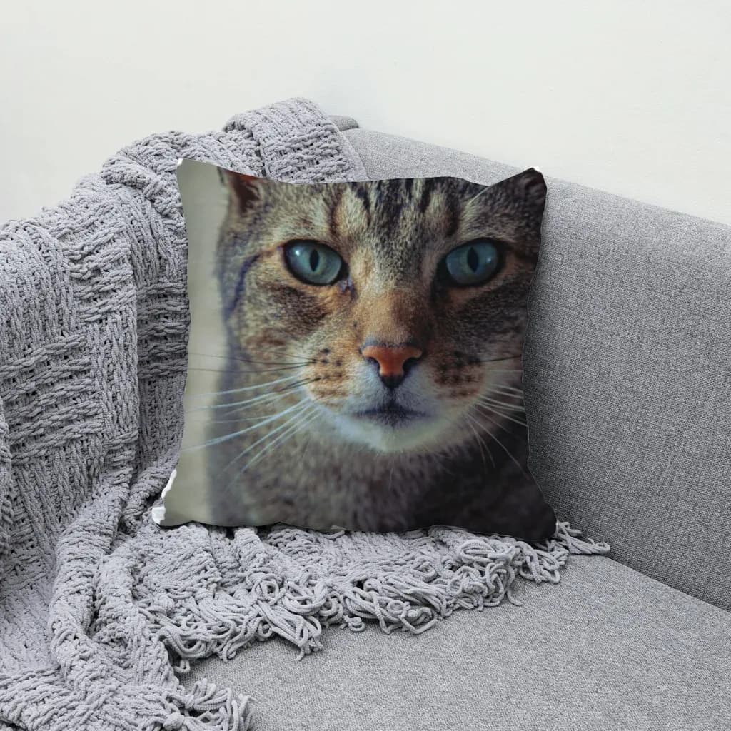 Cat portrait rendered on a throw pillow mockup