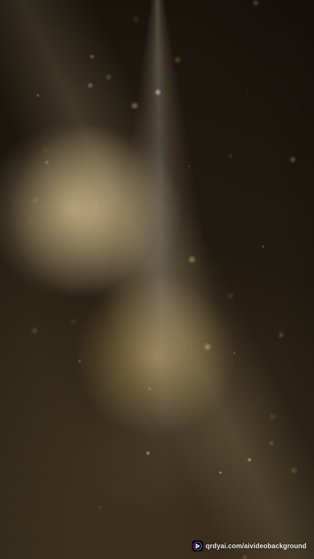 luxe gold portrait loop video background preview