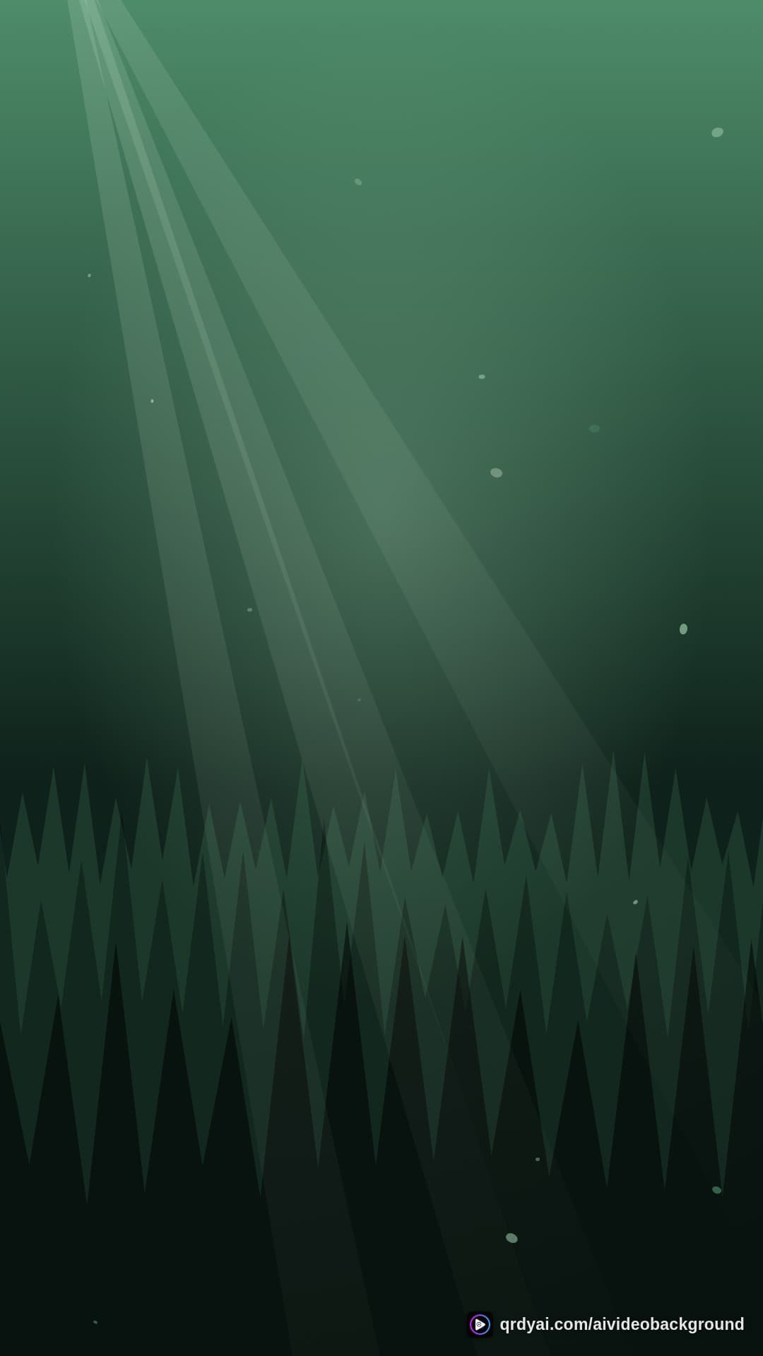 forest sunbeam portrait loop video background preview
