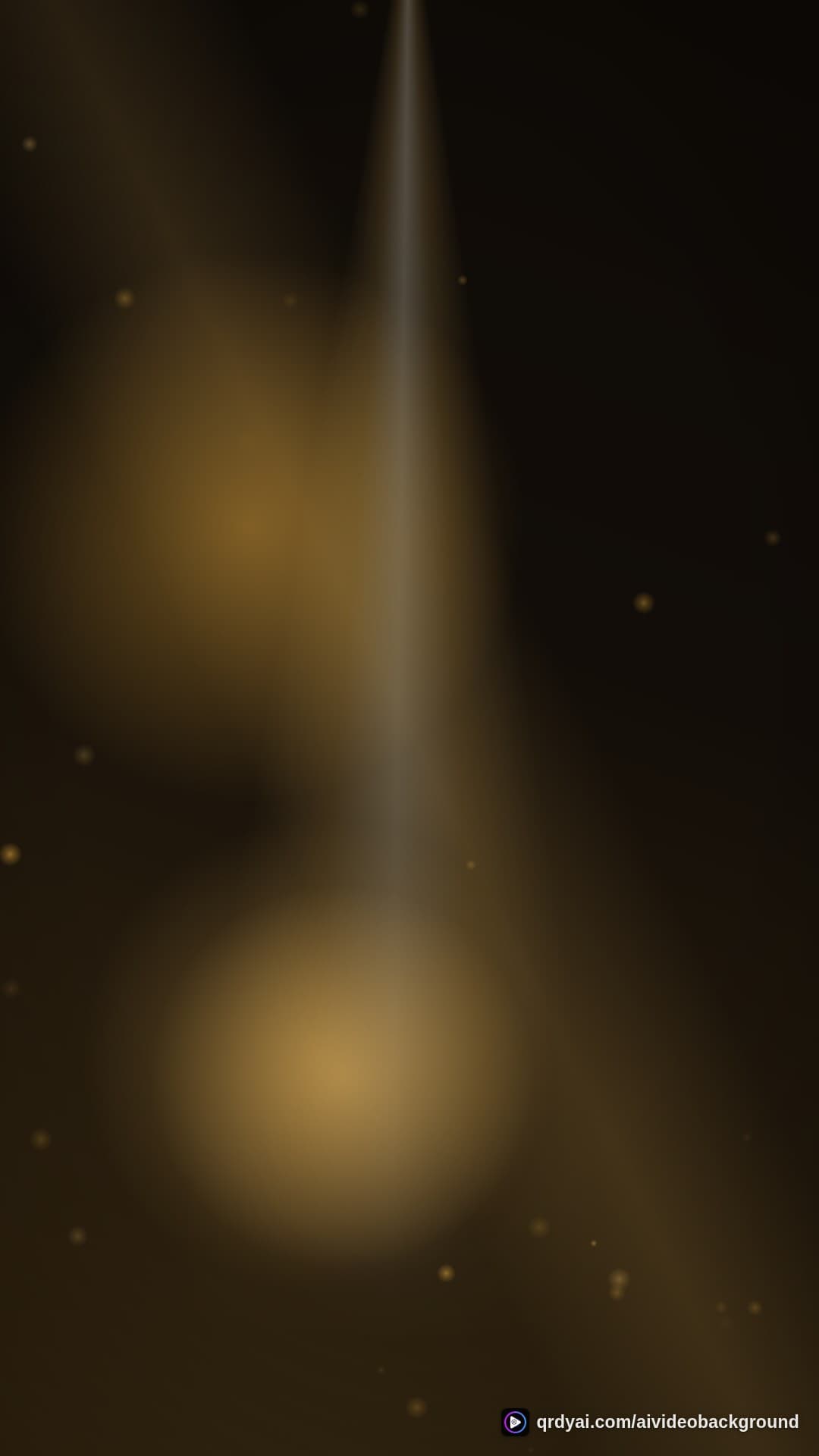 luxe gold portrait loop video background preview