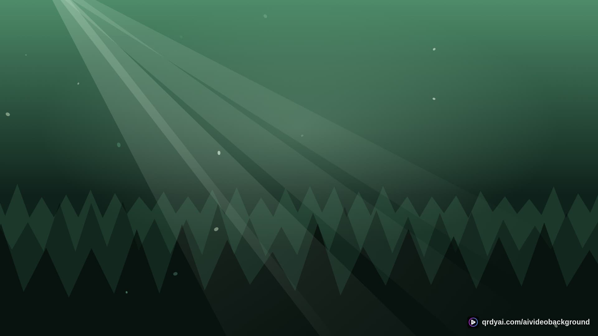 forest sunbeam landscape loop video background preview