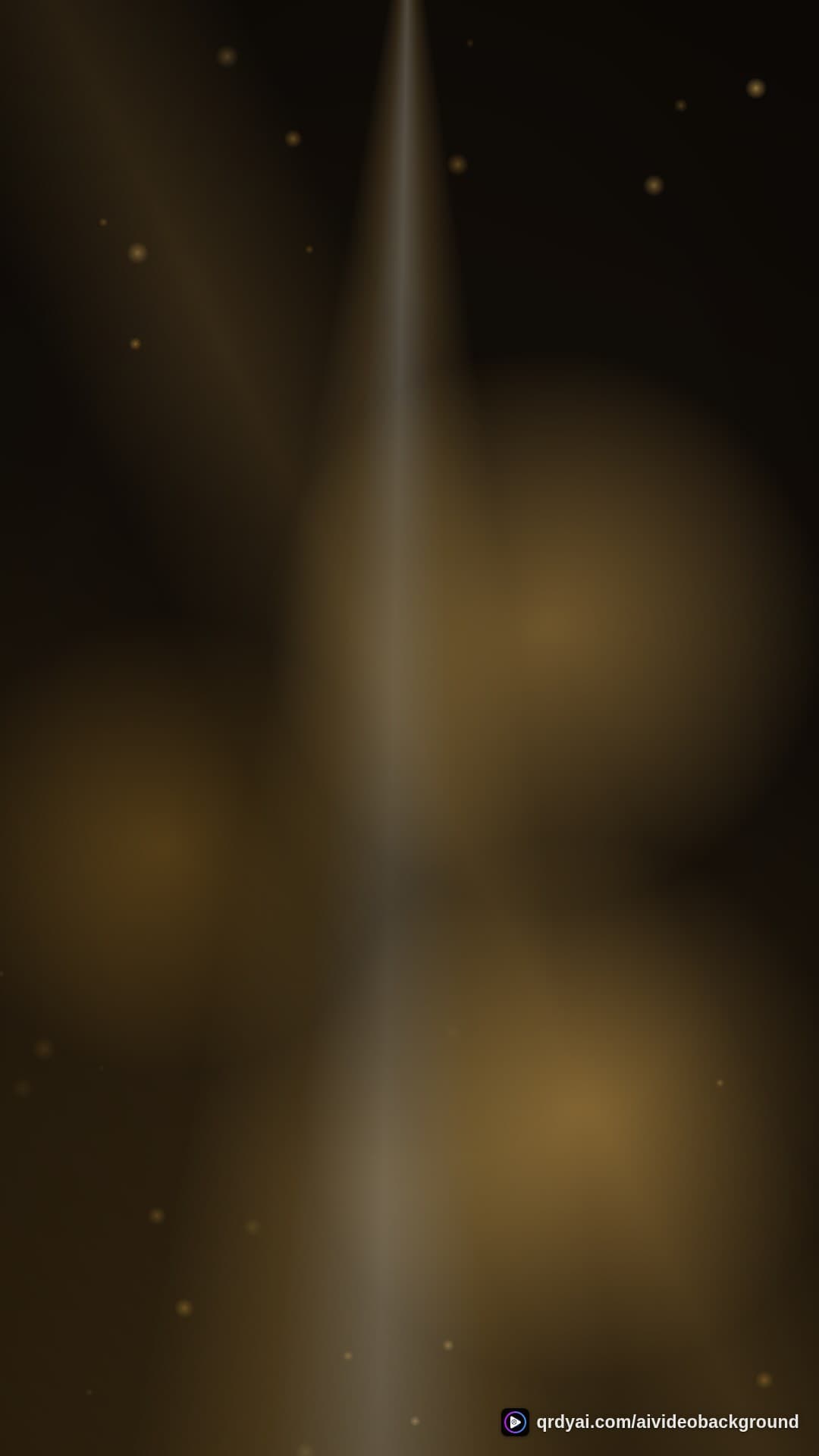 luxe gold portrait loop video background preview