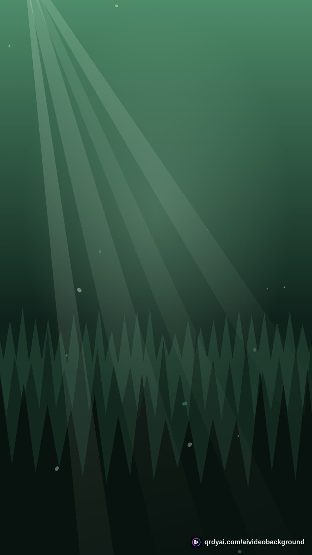 forest sunbeam portrait loop video background preview
