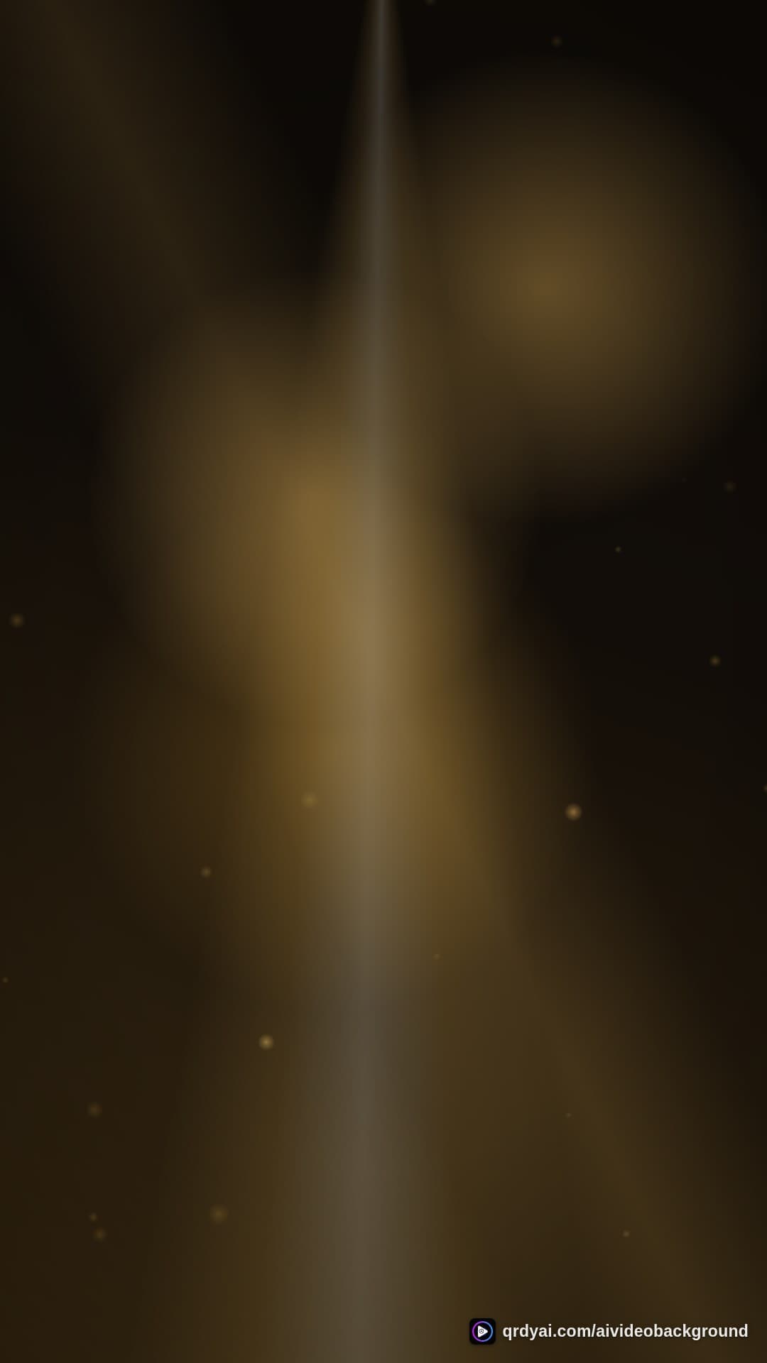 luxe gold portrait loop video background preview