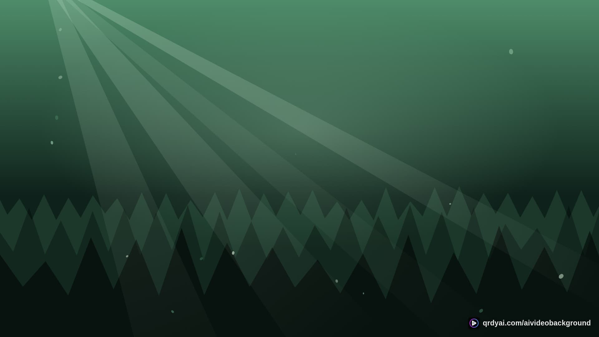 forest sunbeam landscape loop video background preview
