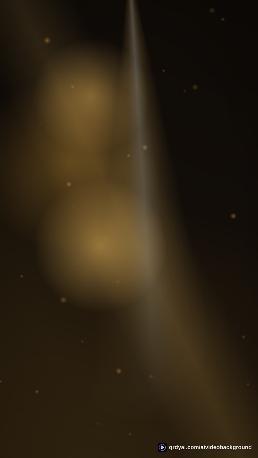 luxe gold portrait loop video background preview