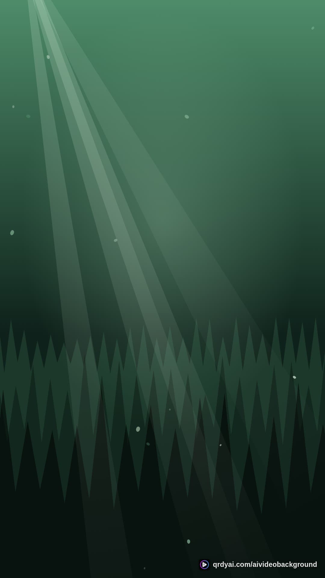 forest sunbeam portrait loop video background preview