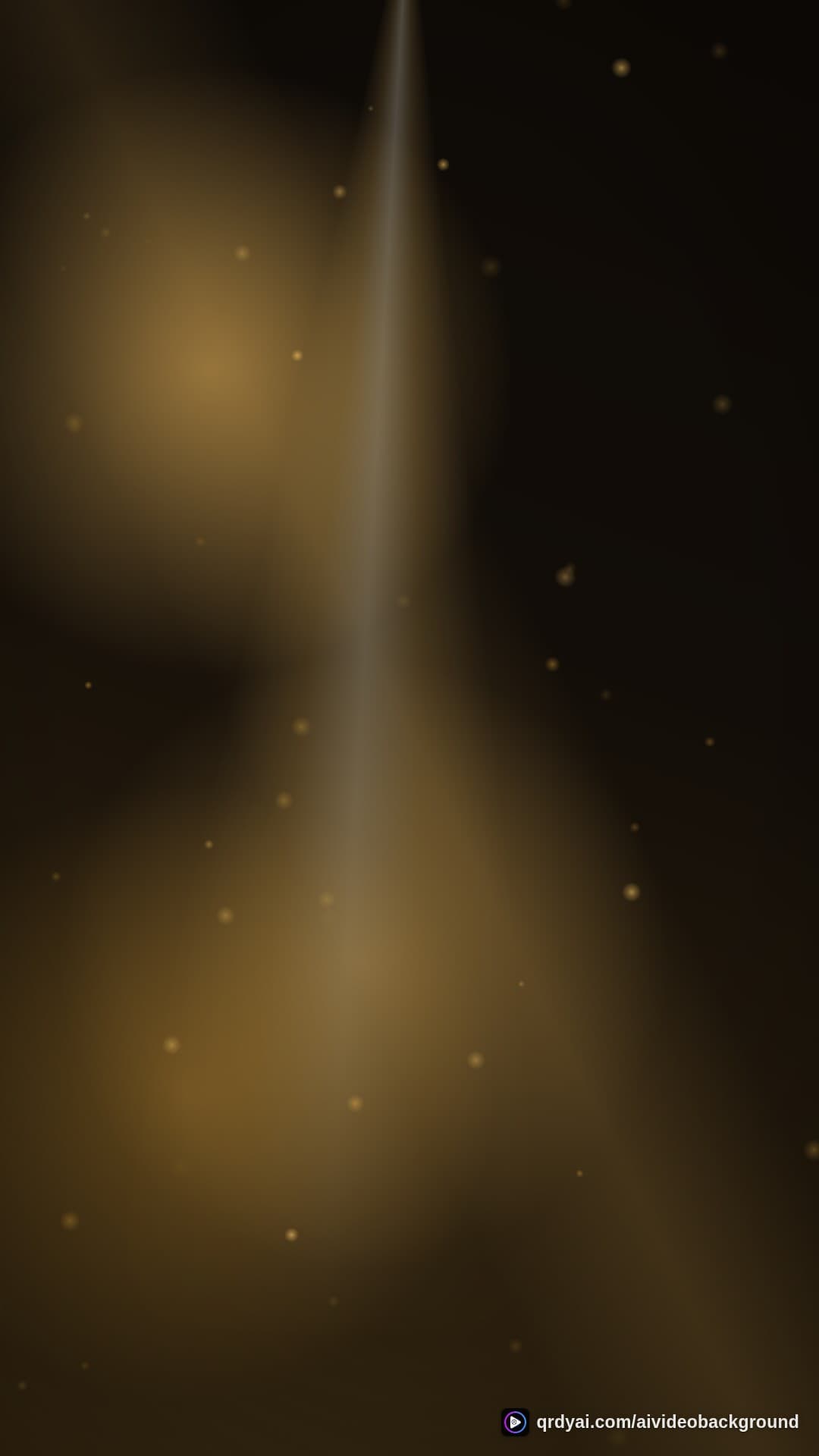 luxe gold portrait loop video background preview