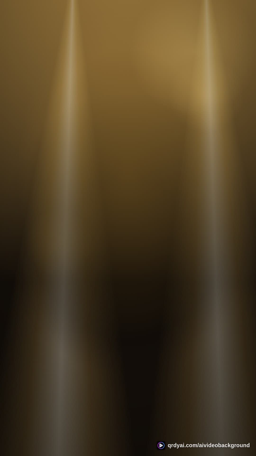 luxe spotlight stage portrait loop video background preview