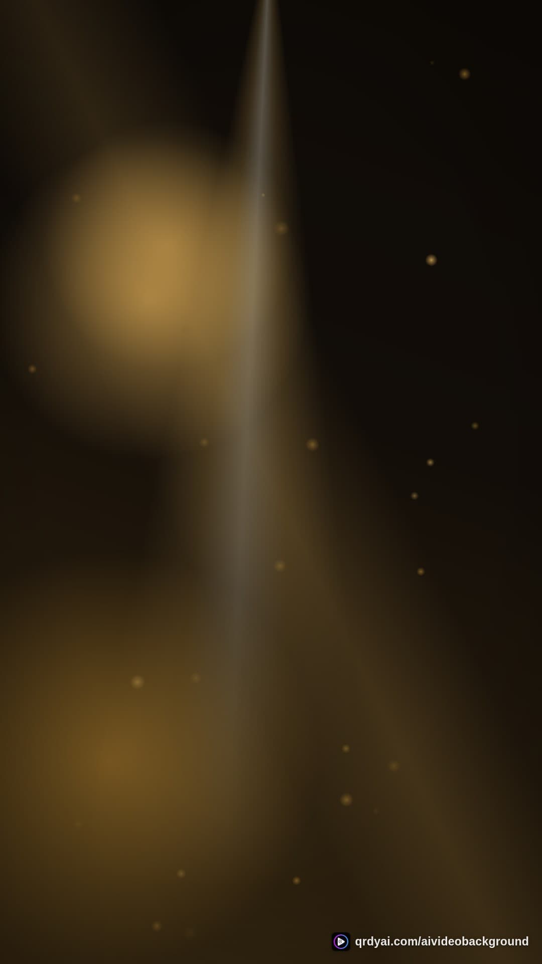 luxe gold portrait loop video background preview