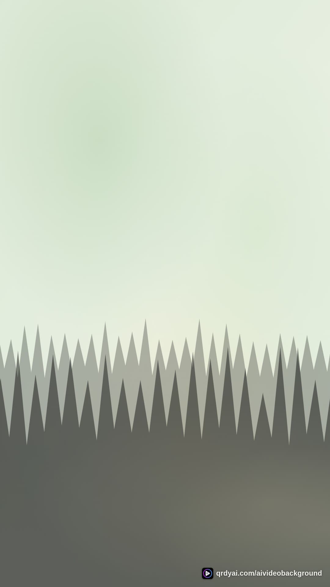 forest dawn portrait loop video background preview
