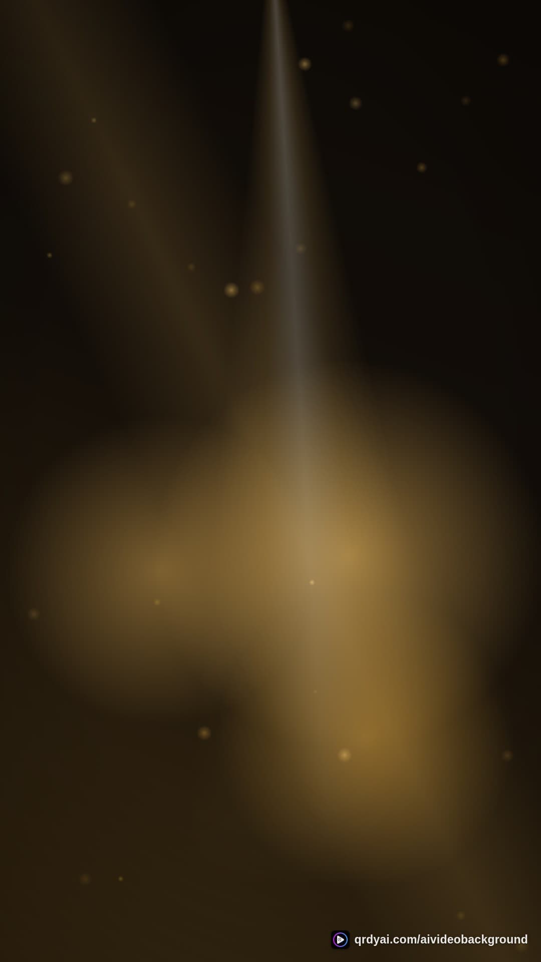 luxe gold portrait loop video background preview