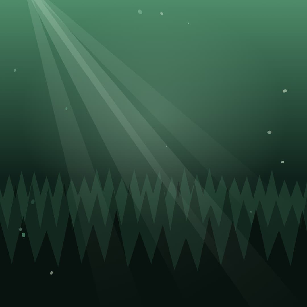 forest sunbeam square loop video background preview