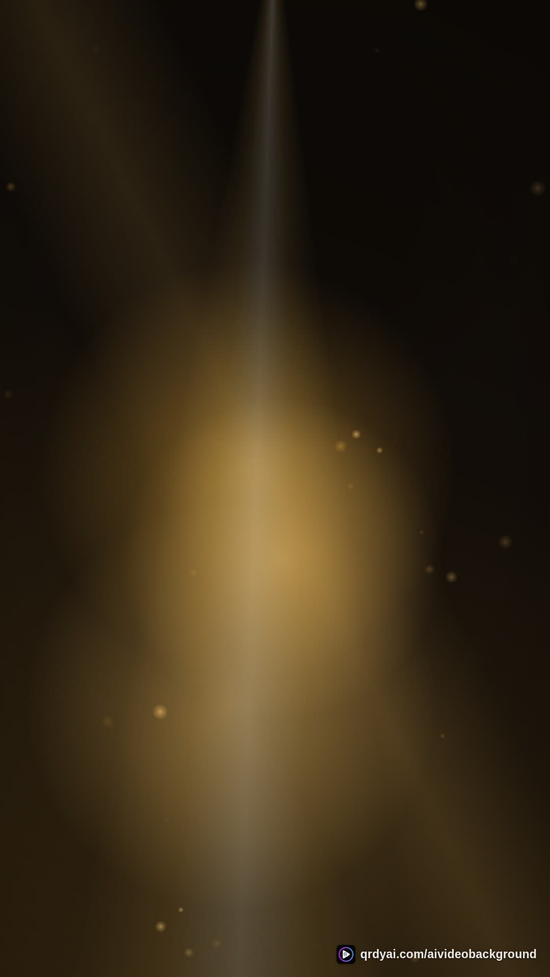 luxe gold portrait loop video background preview