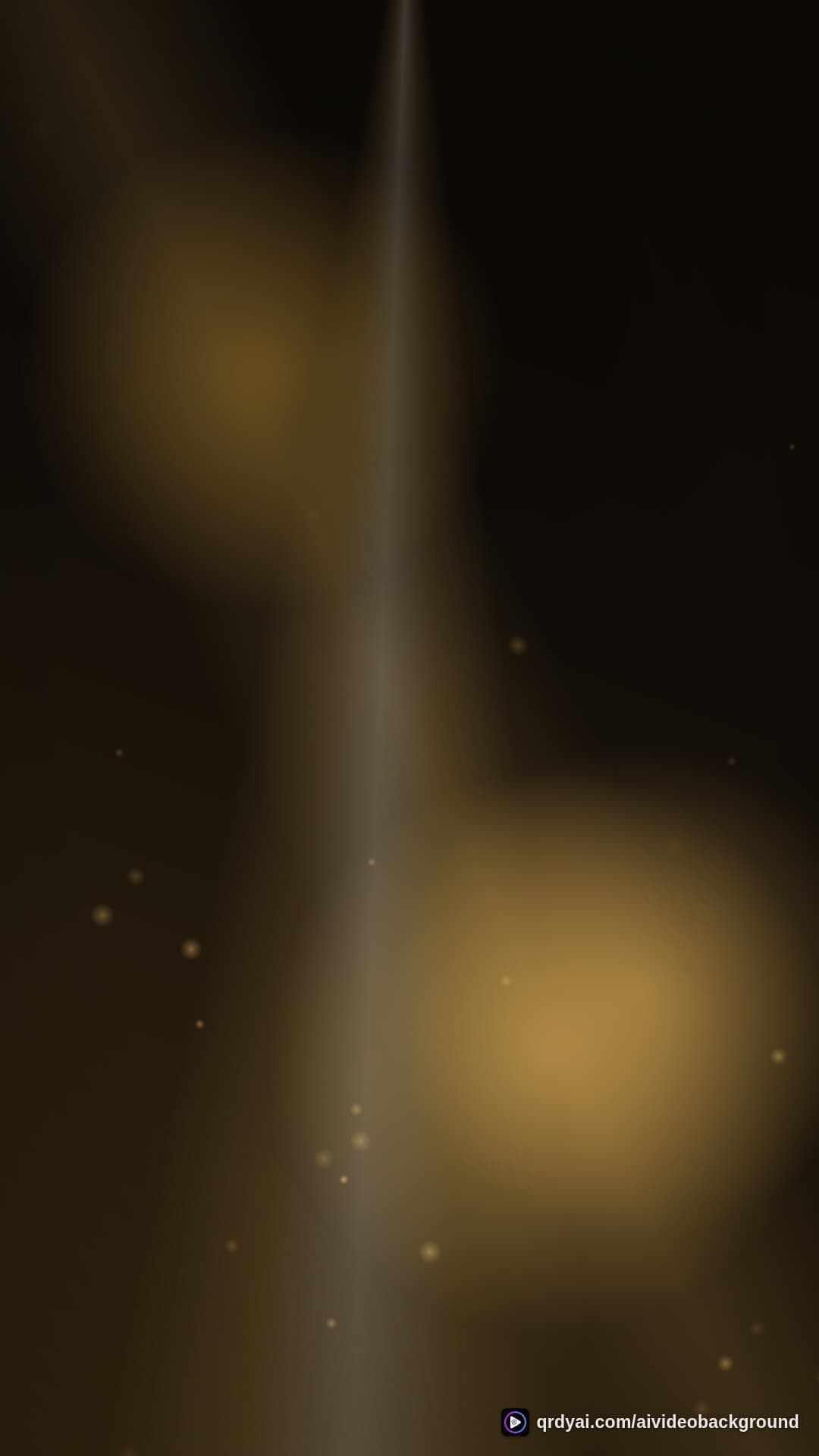 luxe gold portrait loop video background preview