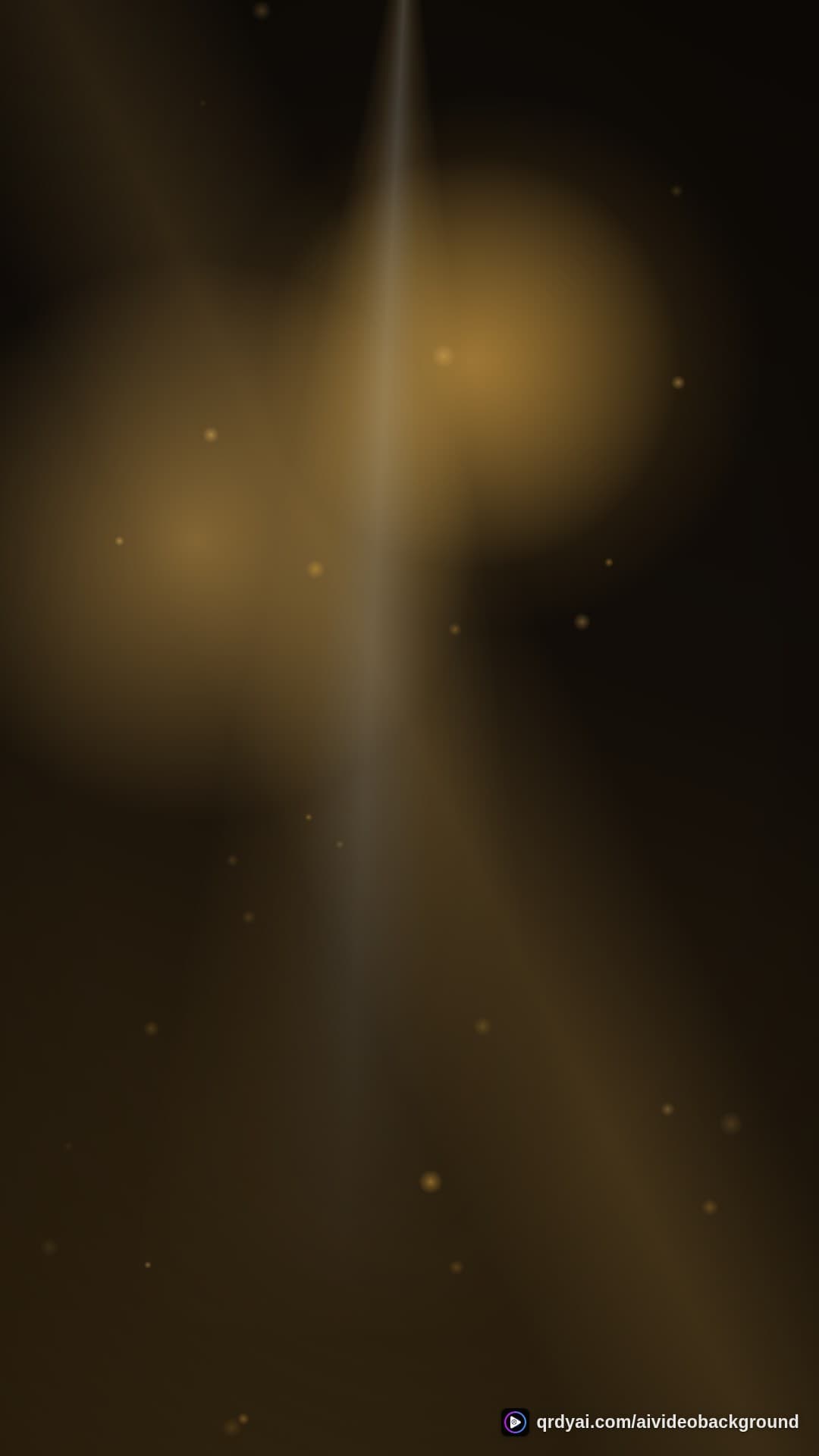 luxe gold portrait loop video background preview