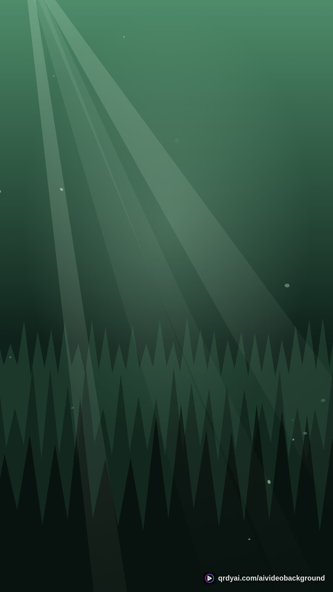 forest sunbeam portrait loop video background preview