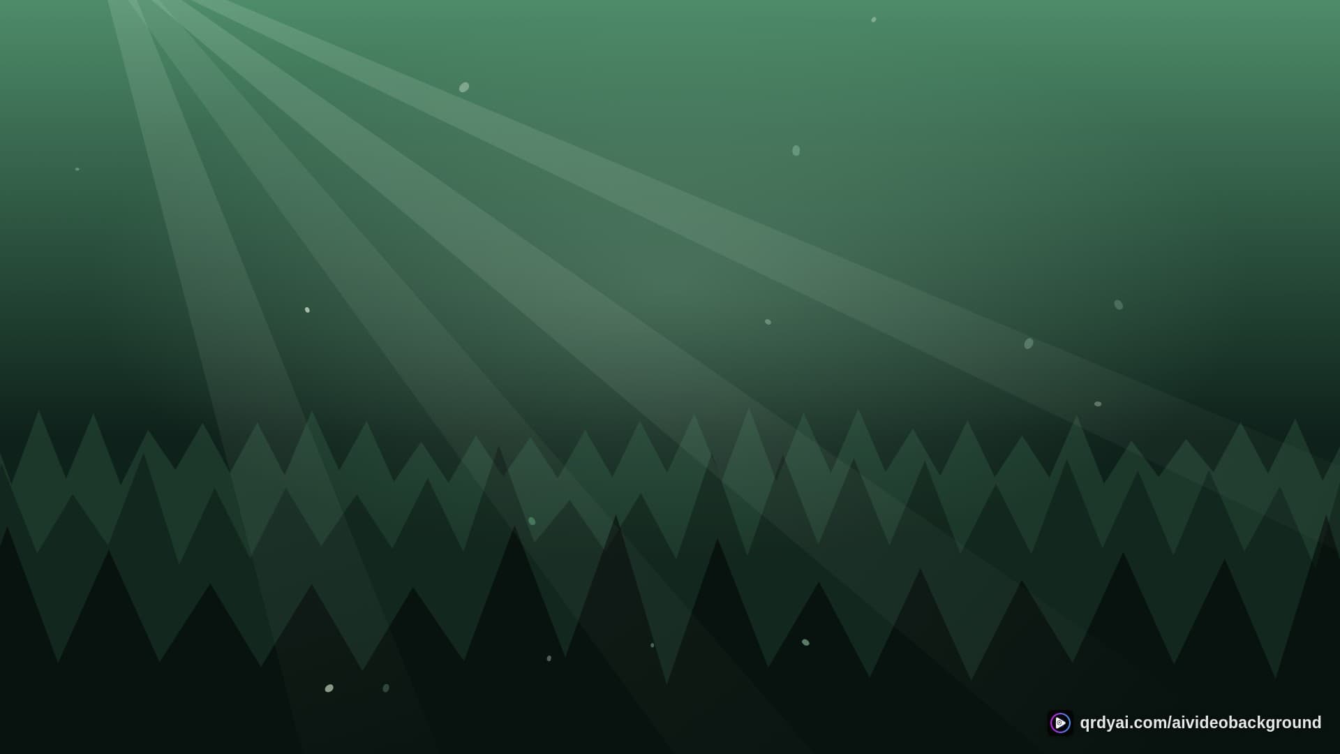 forest sunbeam landscape loop video background preview
