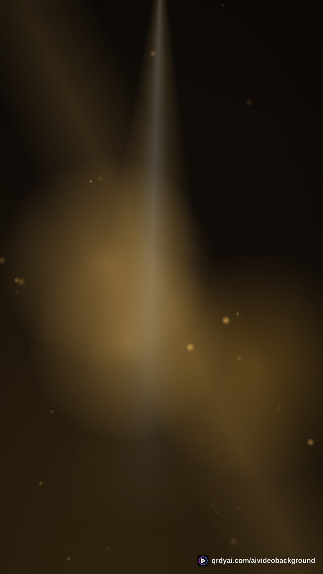luxe gold portrait loop video background preview