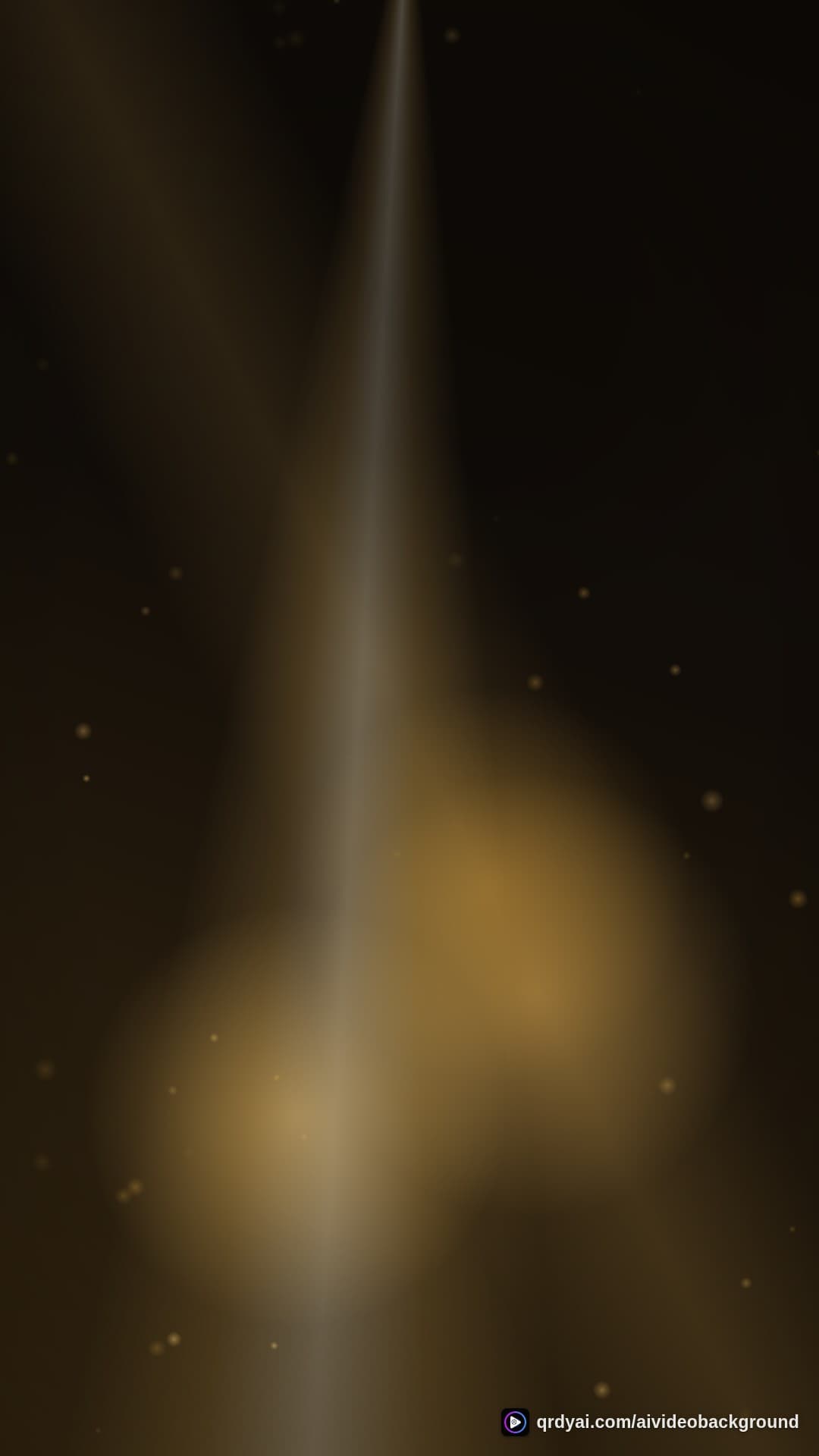 luxe gold portrait loop video background preview