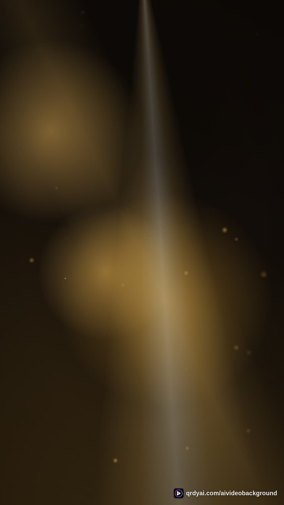 luxe gold portrait loop video background preview
