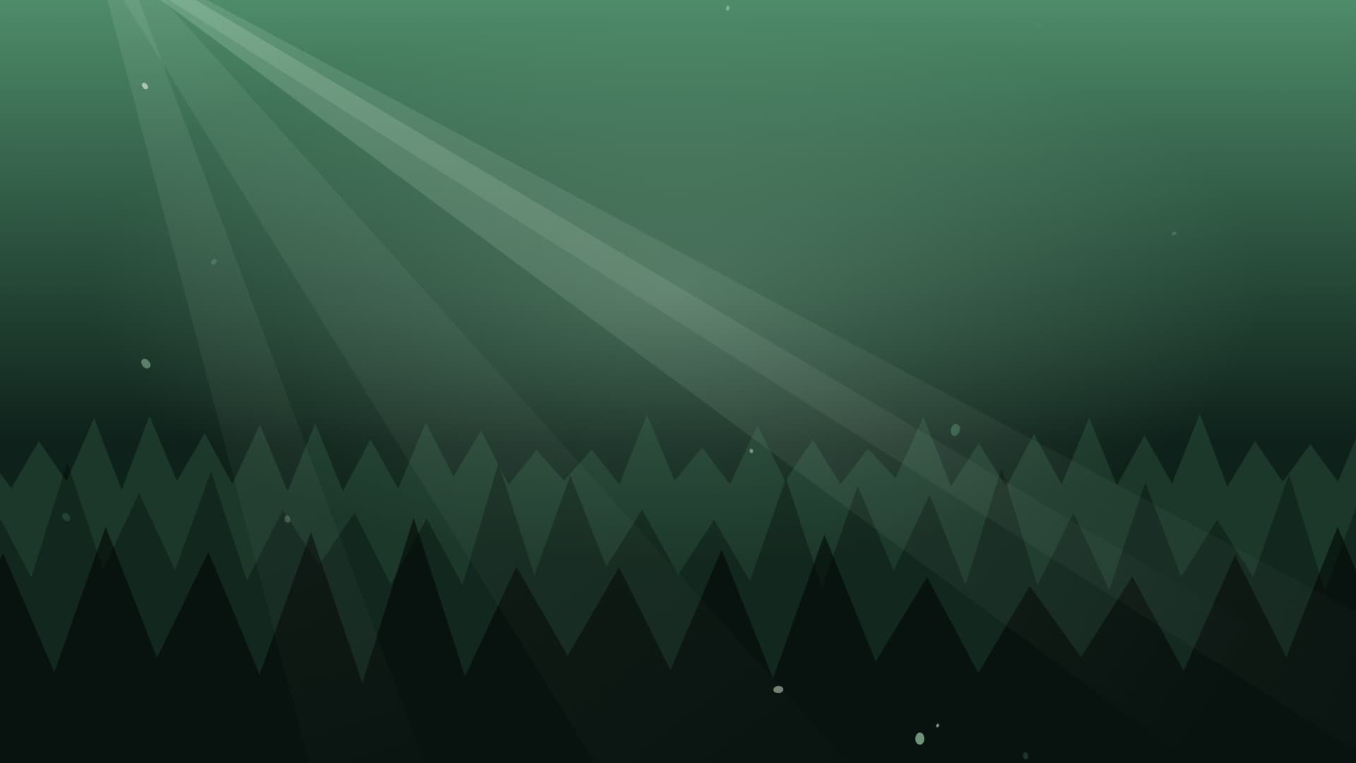 forest sunbeam landscape loop video background preview