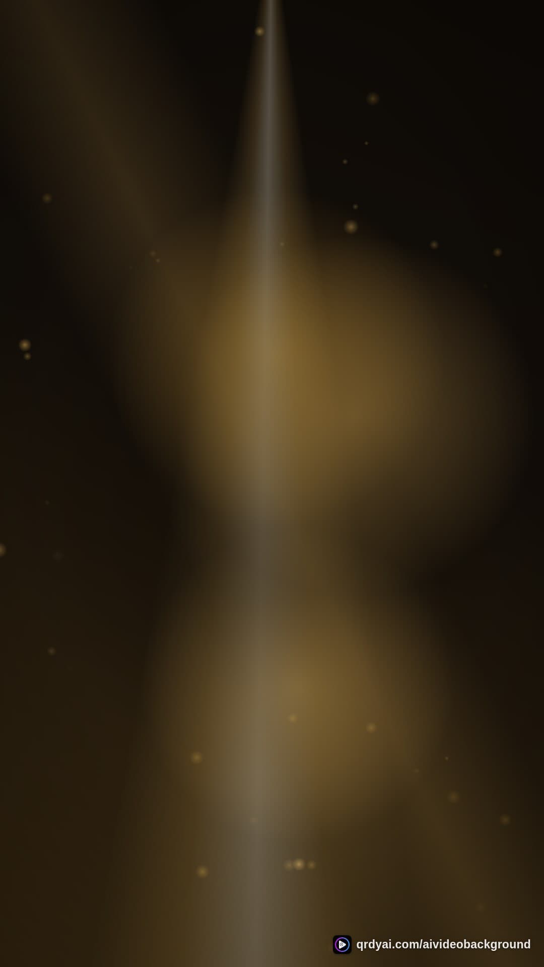 luxe gold portrait loop video background preview