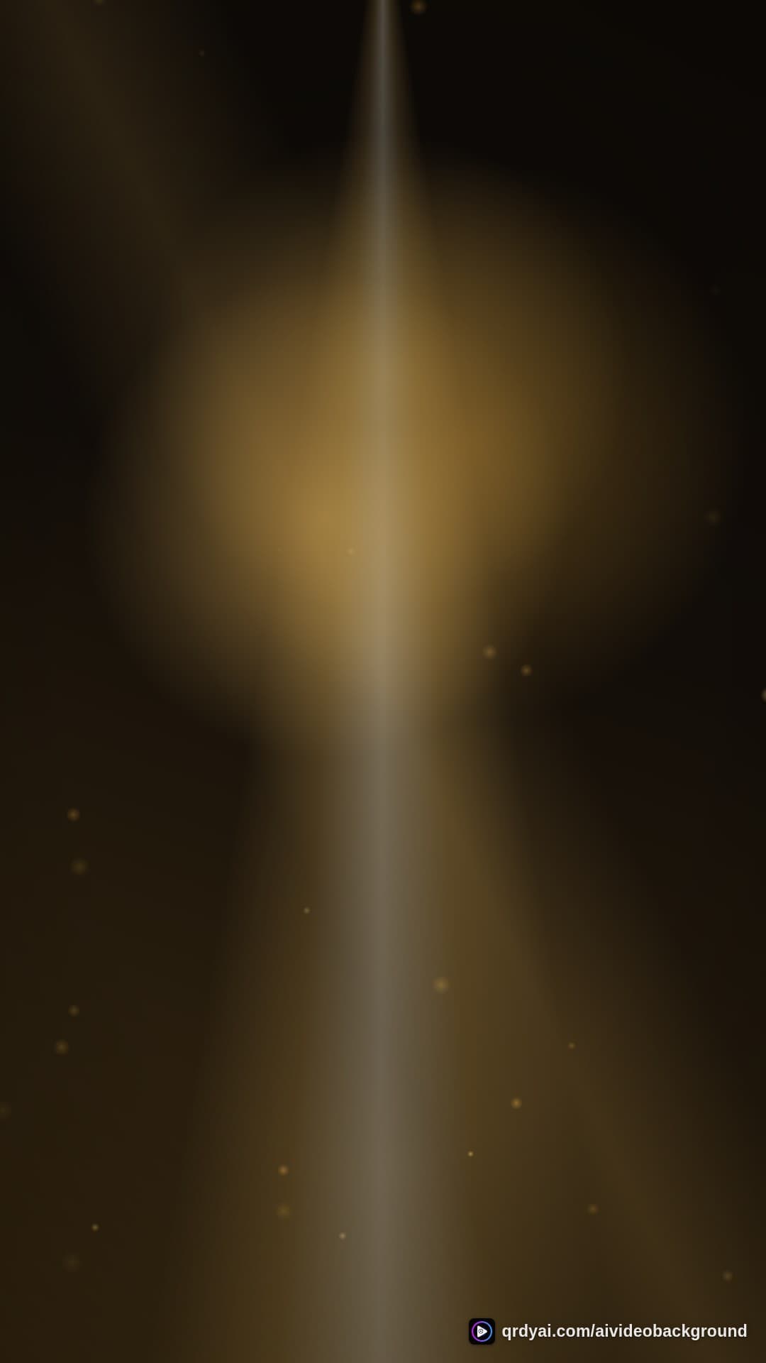 luxe gold portrait loop video background preview