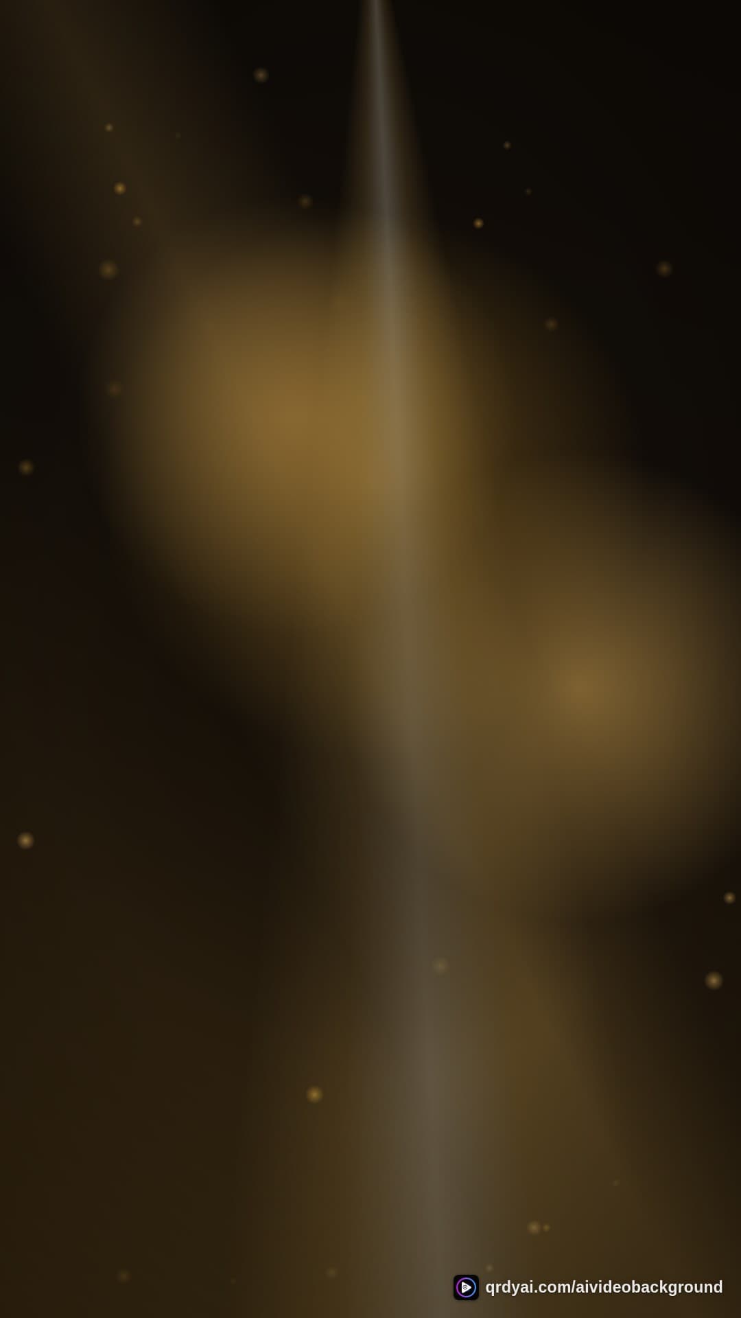 luxe gold portrait loop video background preview