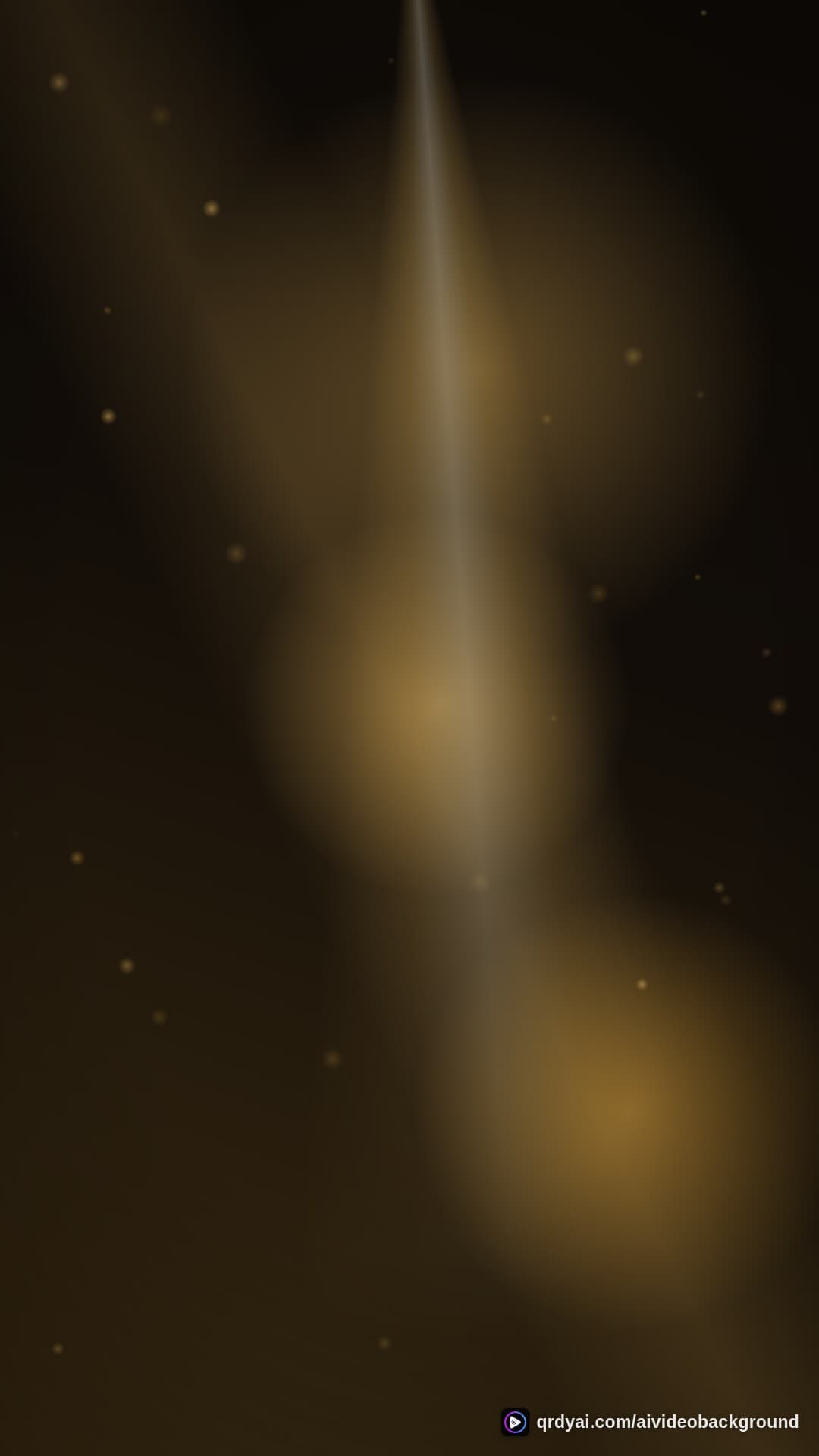 luxe gold portrait loop video background preview