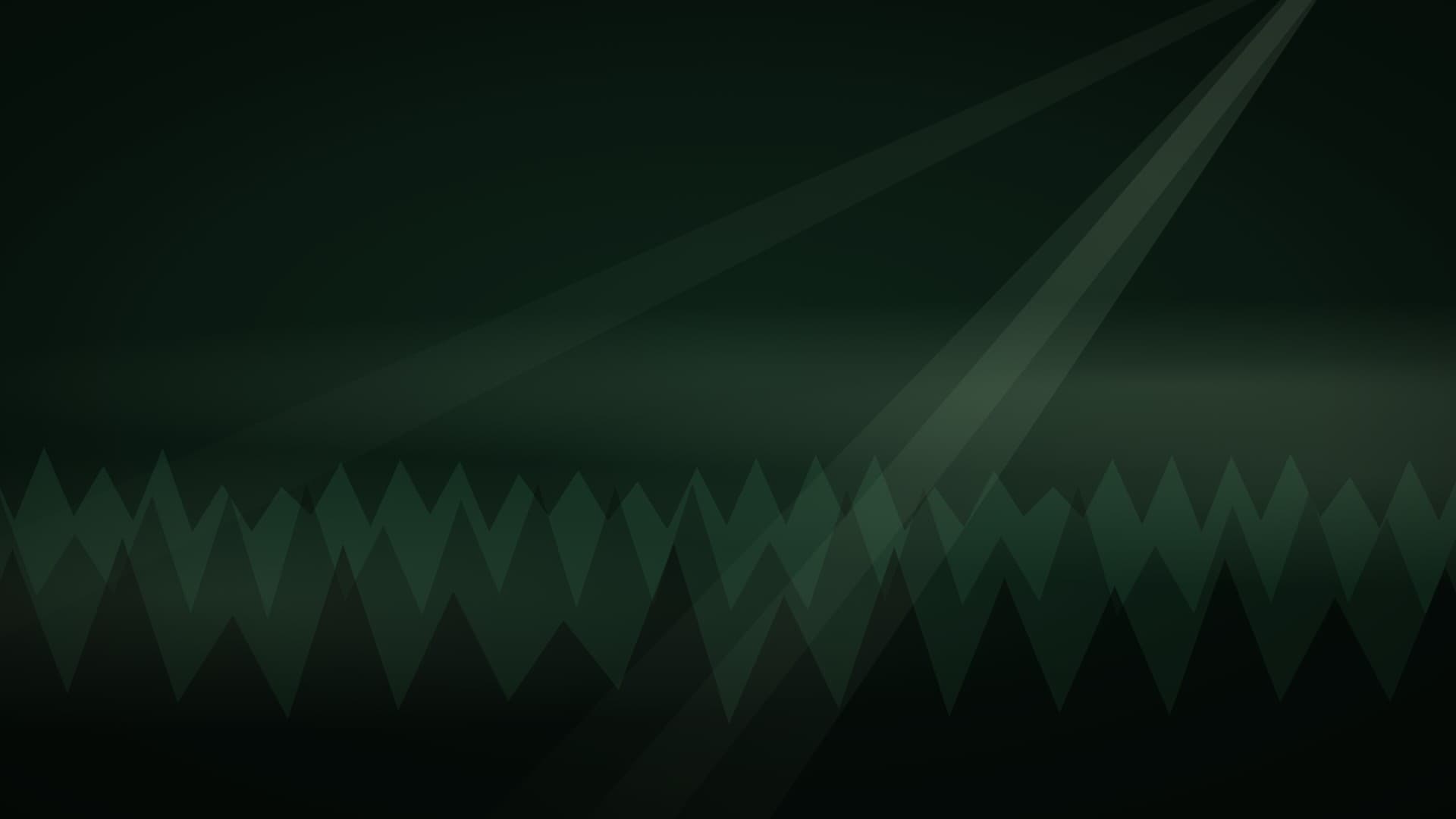 forest deep landscape loop video background preview