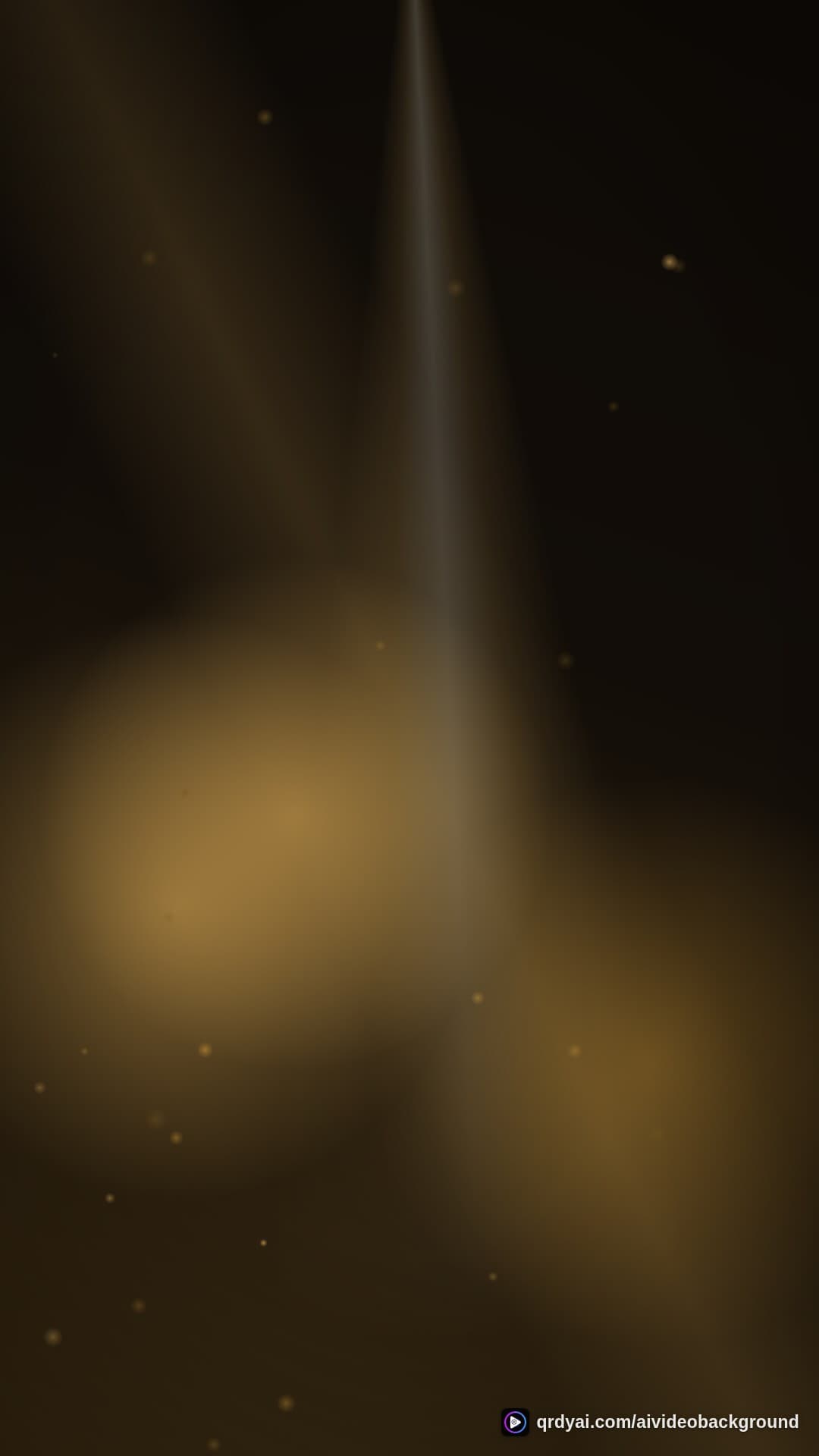 luxe gold portrait loop video background preview