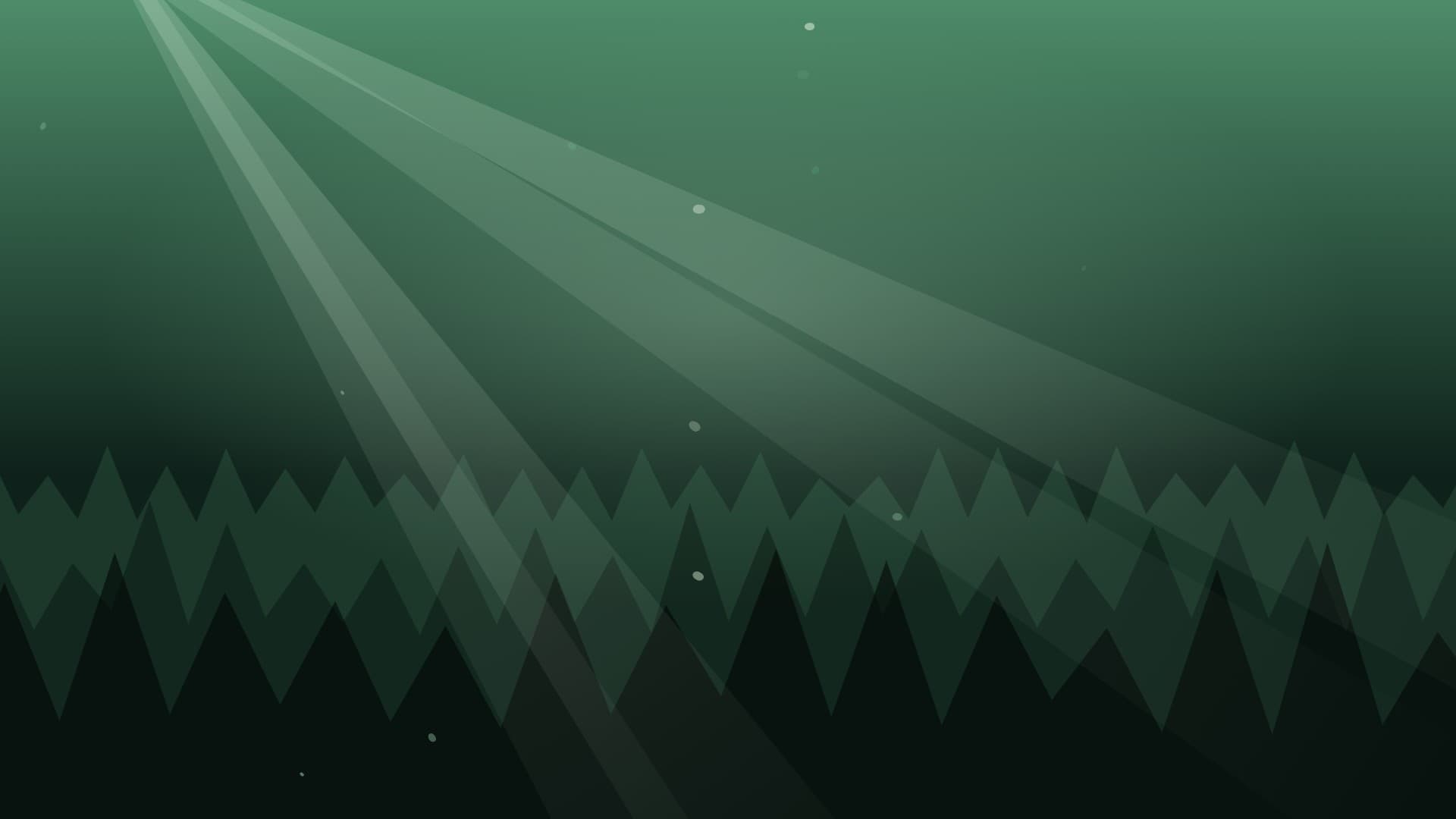 forest sunbeam landscape loop video background preview