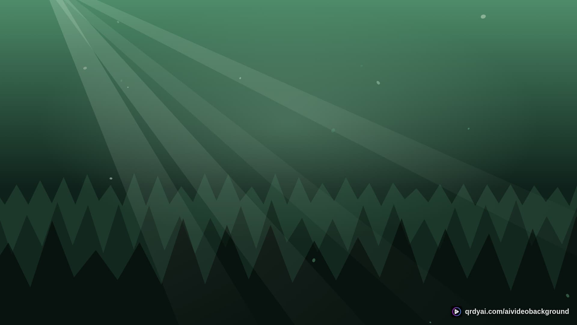forest sunbeam landscape loop video background preview