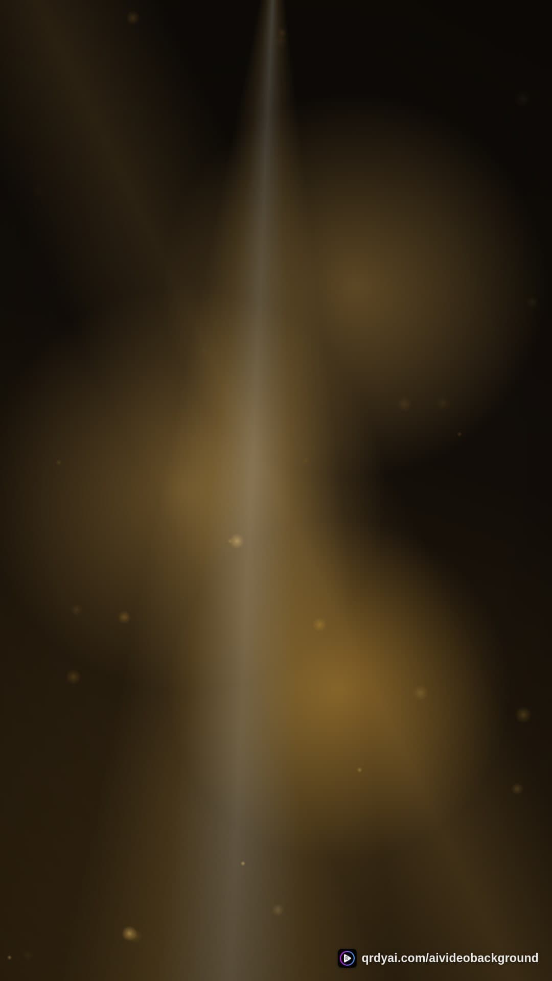 luxe gold portrait loop video background preview