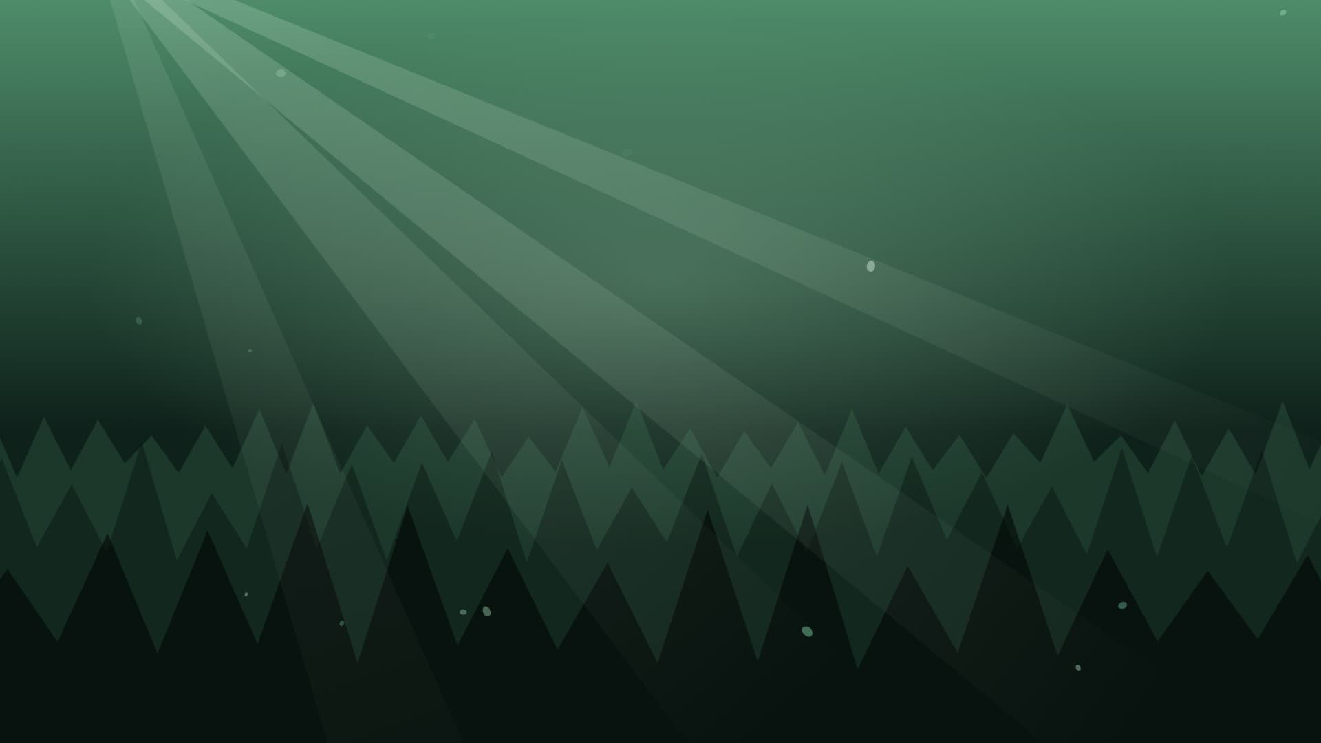 forest sunbeam landscape loop video background preview