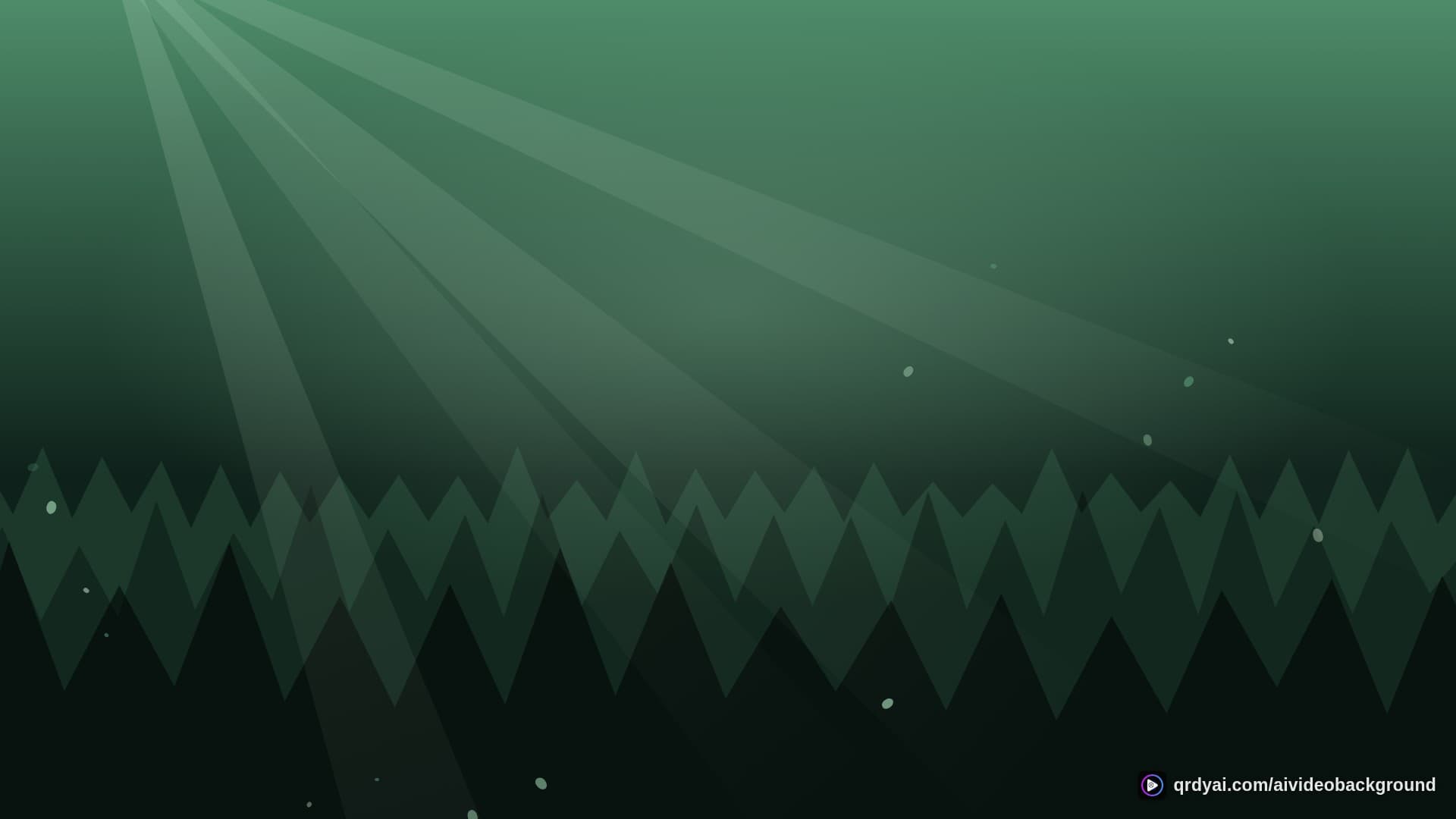 forest sunbeam landscape loop video background preview