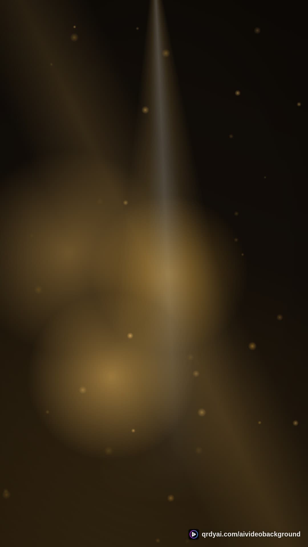 luxe gold portrait loop video background preview
