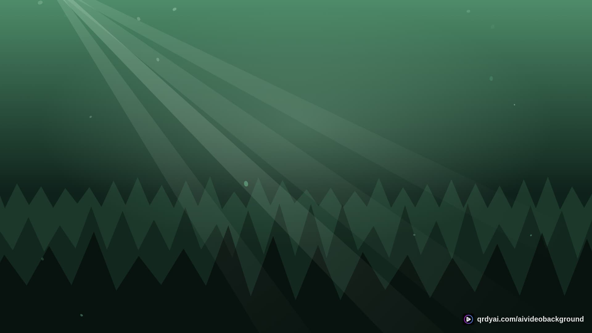 forest sunbeam landscape loop video background preview