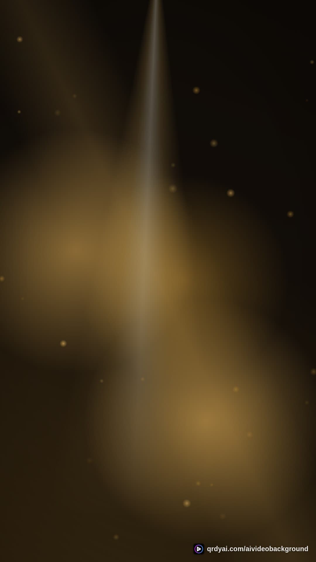 luxe gold portrait loop video background preview