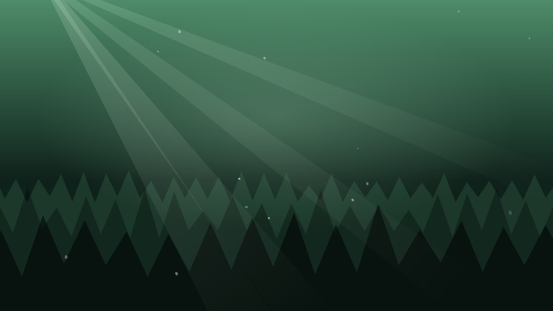 forest sunbeam landscape loop video background preview
