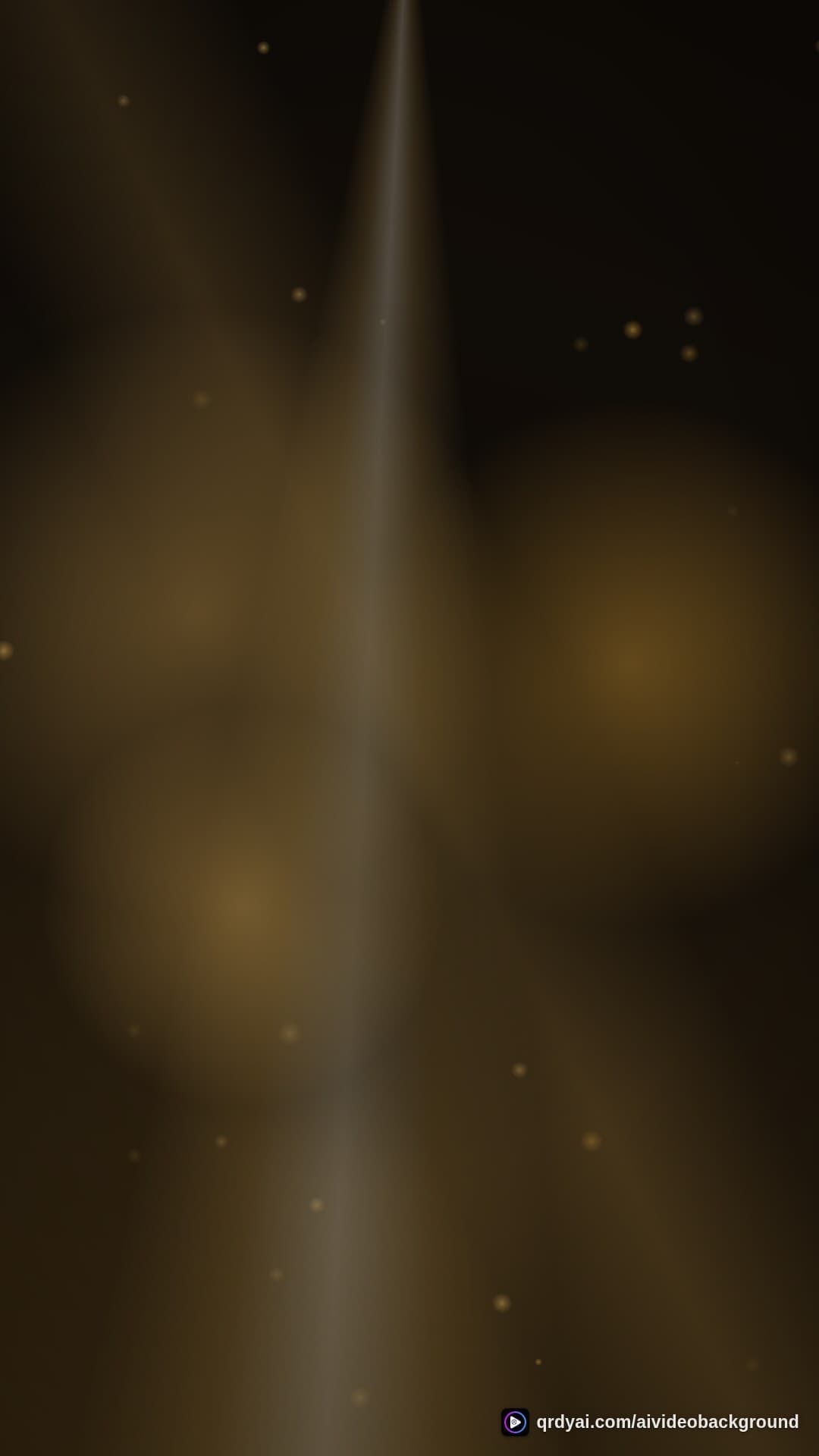 luxe gold portrait loop video background preview