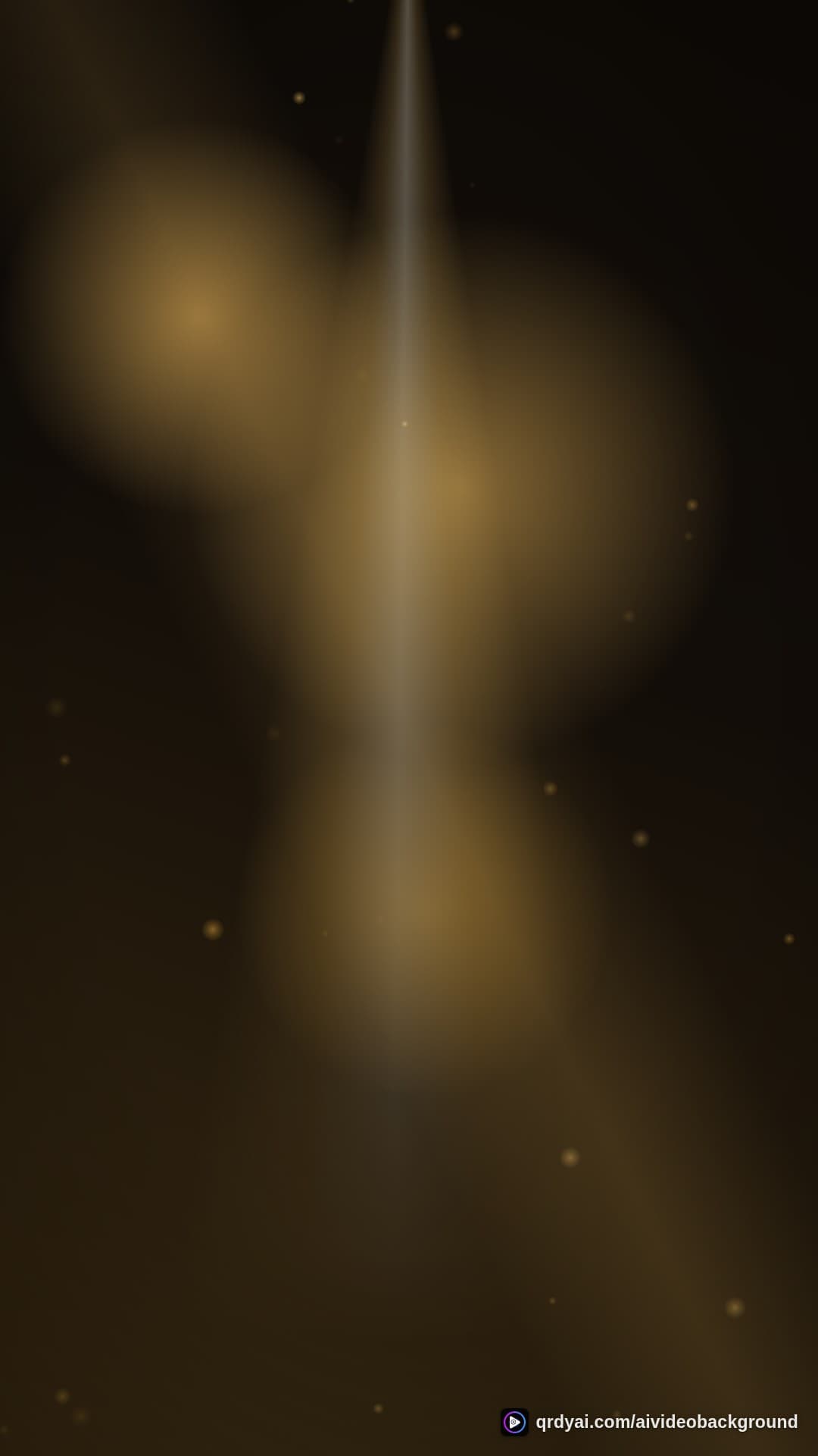 luxe gold portrait loop video background preview