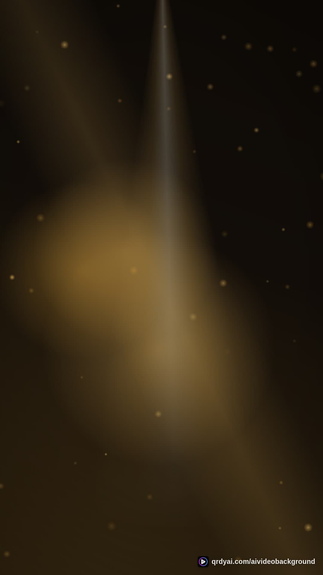 luxe gold portrait loop video background preview