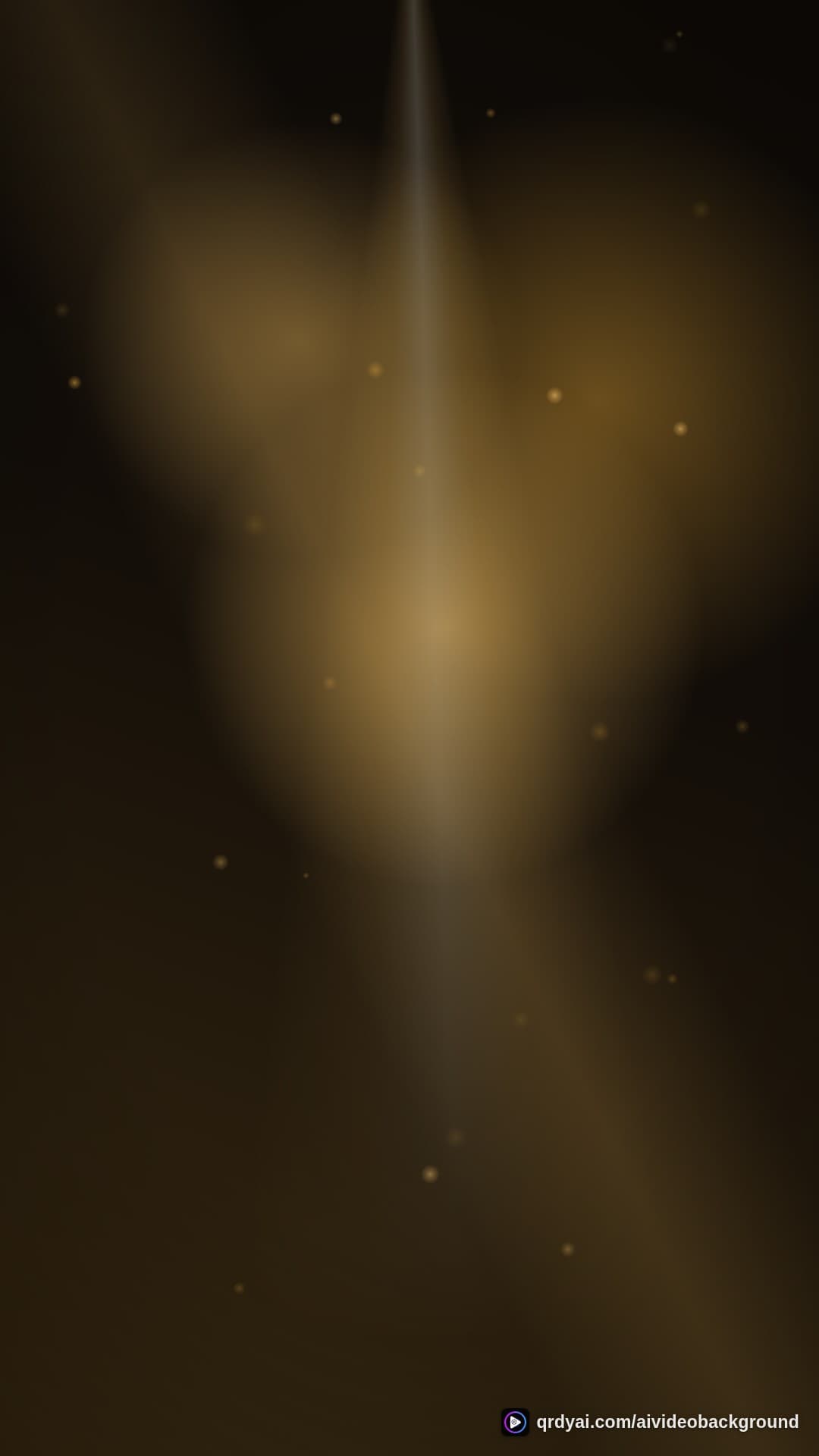 luxe gold portrait loop video background preview