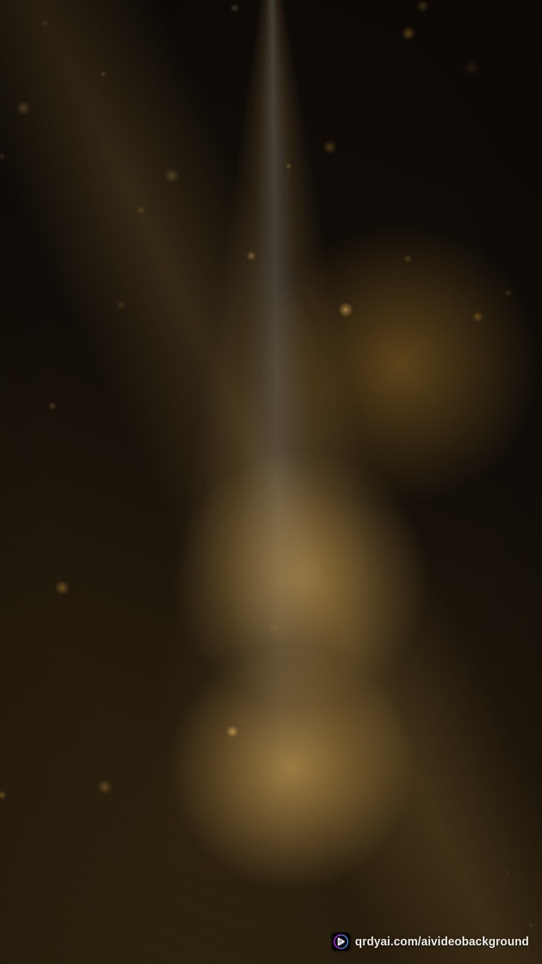 luxe gold portrait loop video background preview