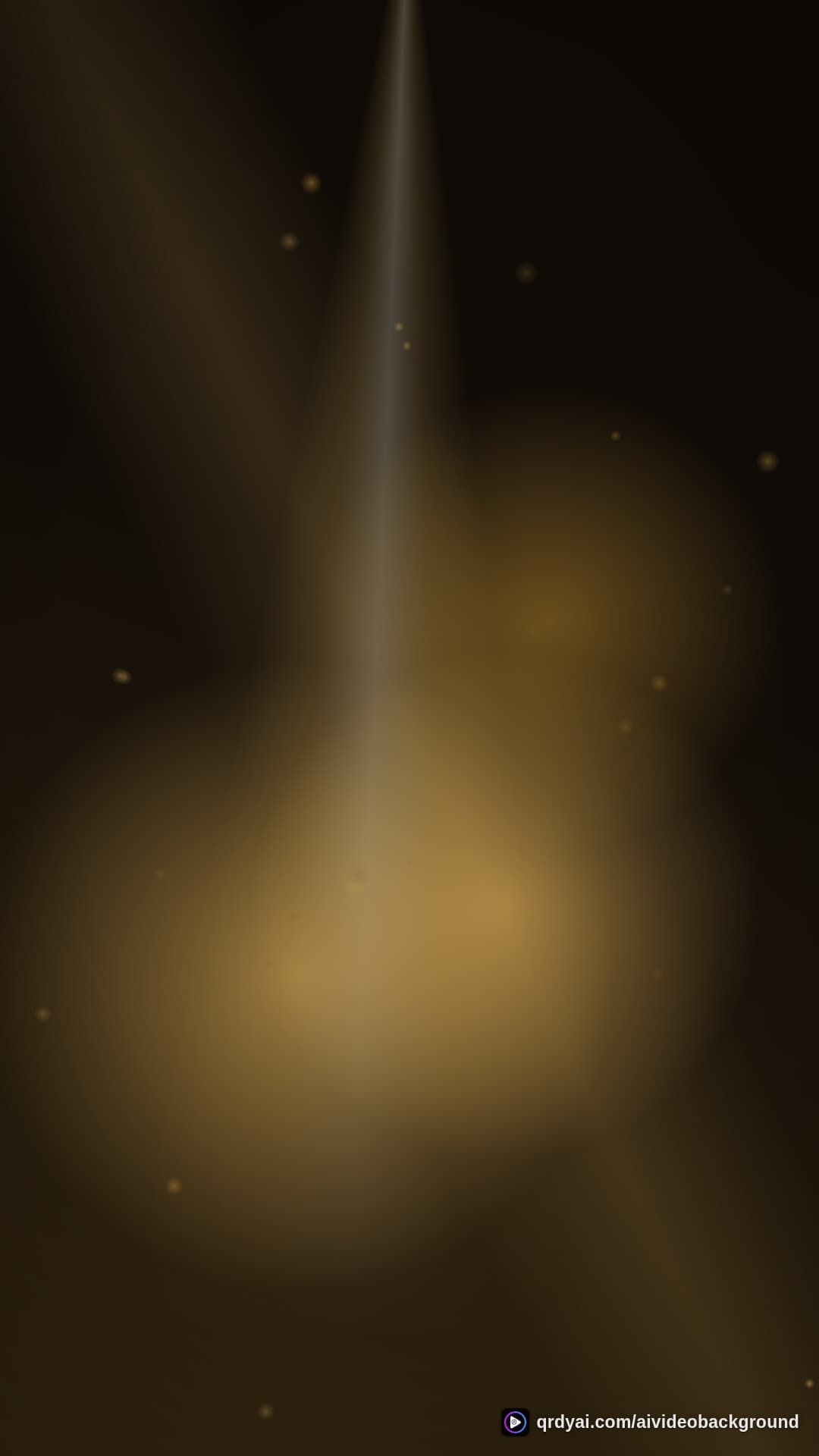 luxe gold portrait loop video background preview