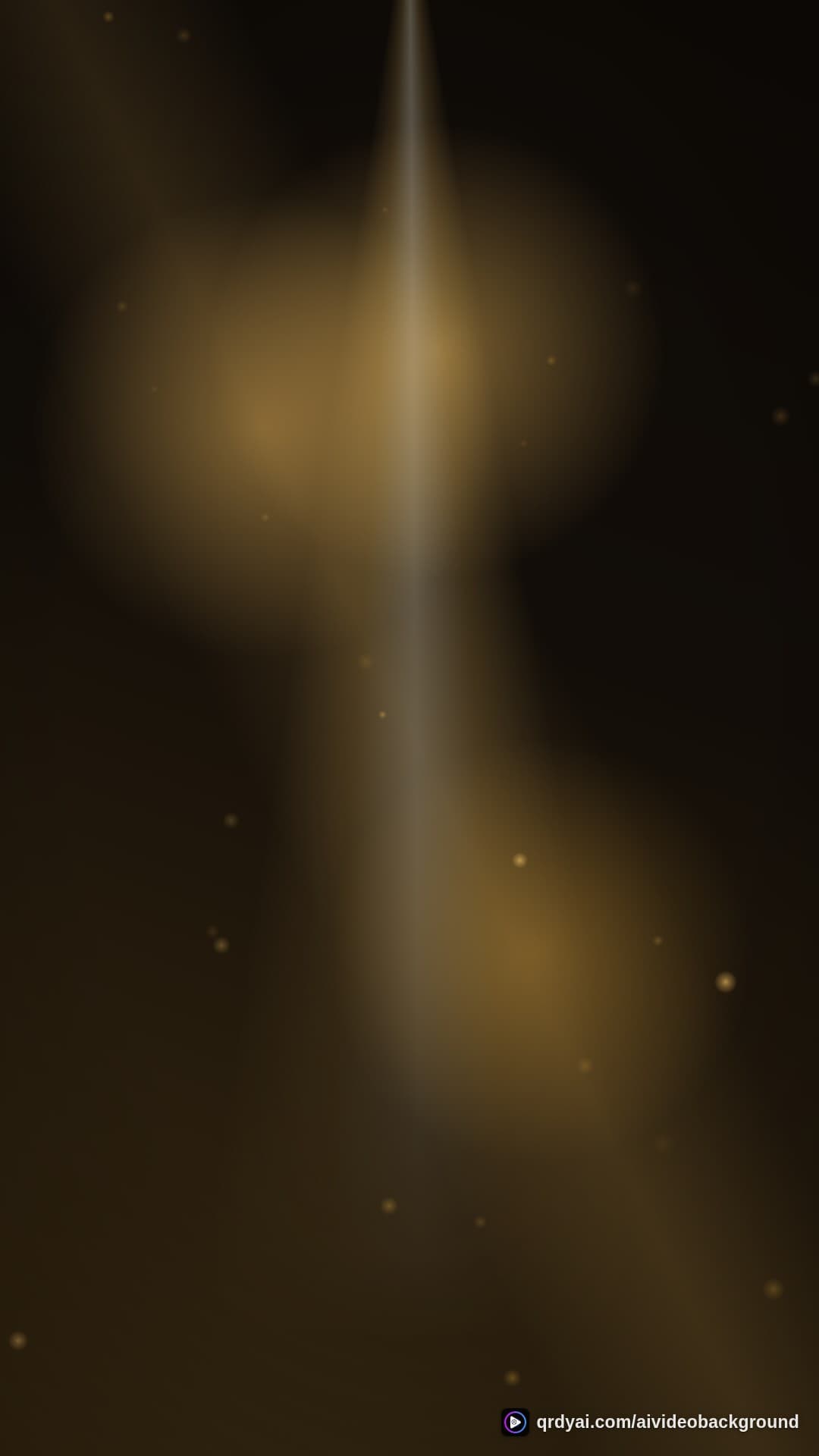 luxe gold portrait loop video background preview