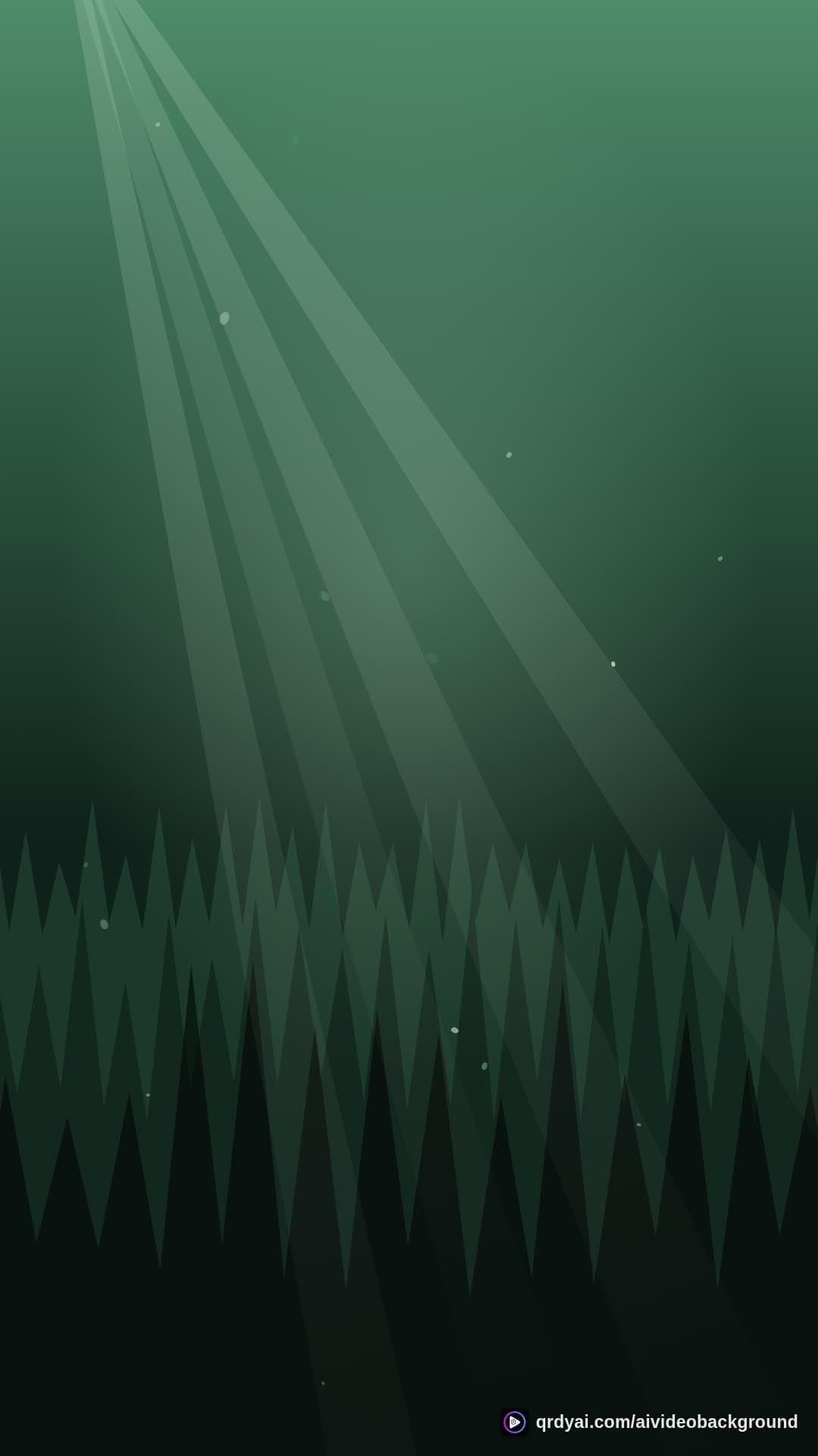 forest sunbeam portrait loop video background preview