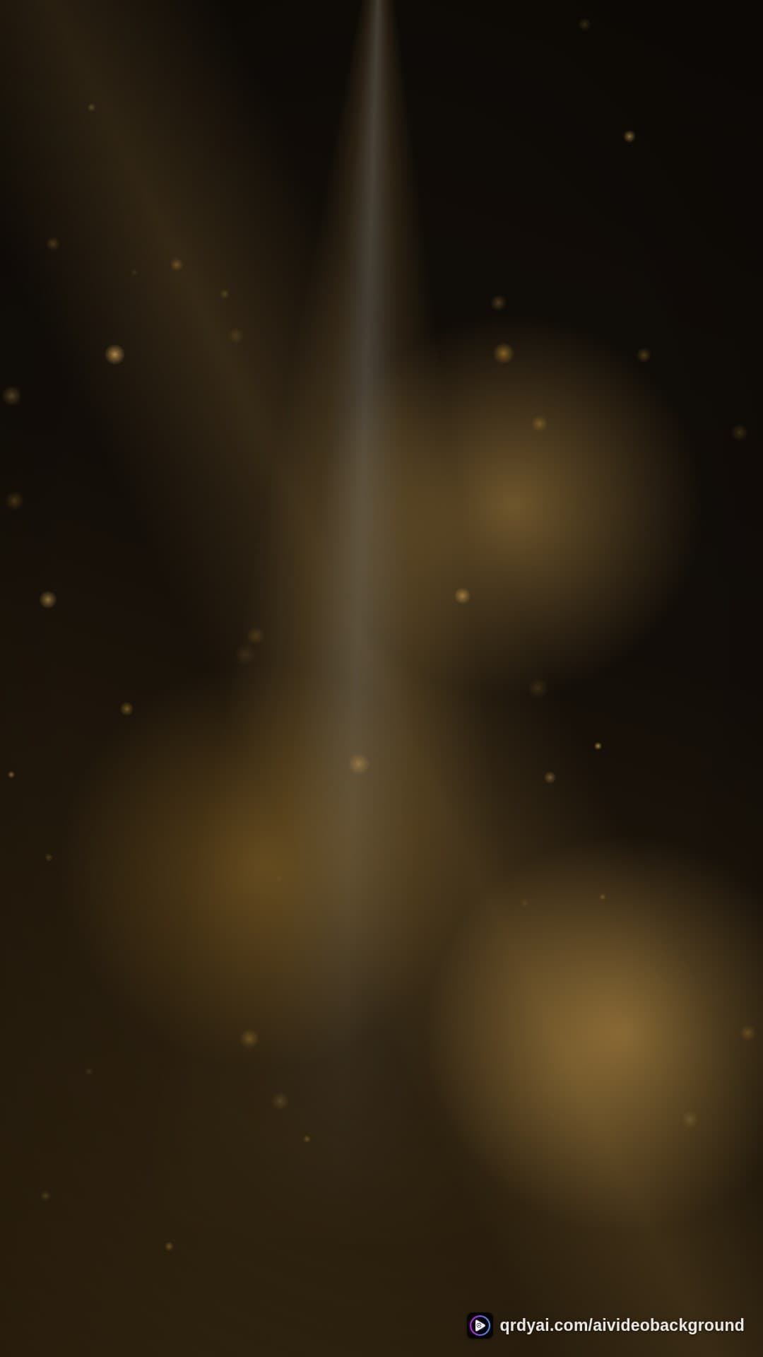 luxe gold portrait loop video background preview